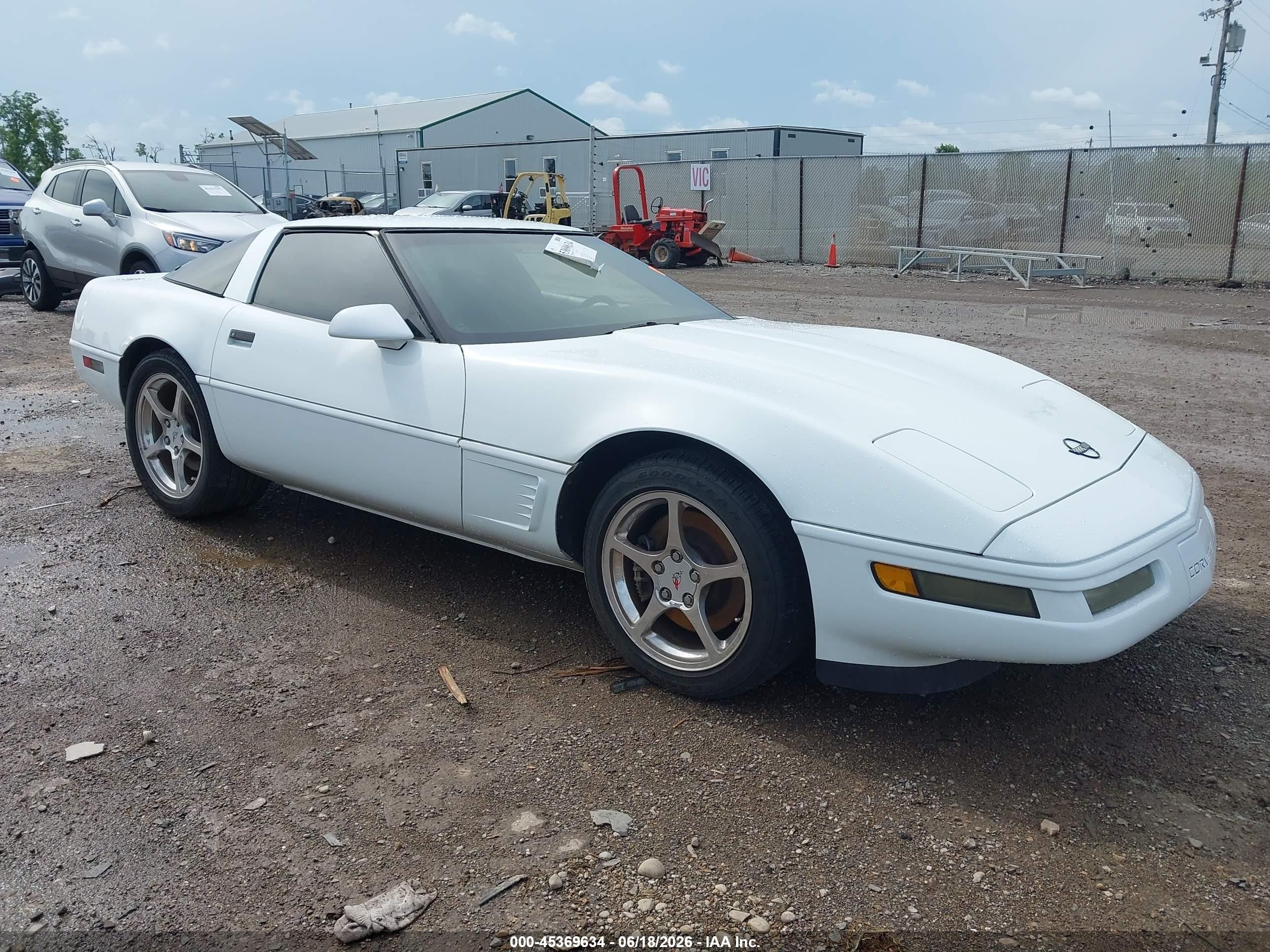 1996 Chevrolet Corvette, VIN 1G1YY22P0T5119040 — Side