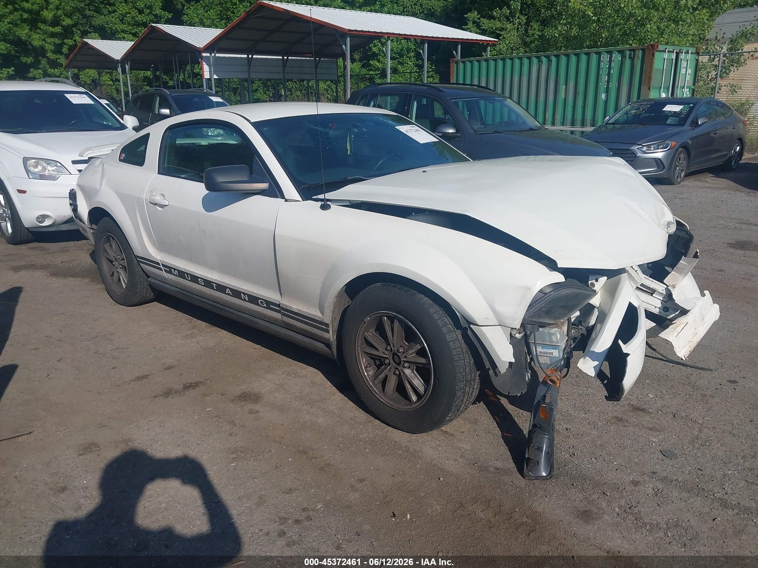 2006 Ford Mustang Standard, VIN 1ZVFT80N165174745 — Front end