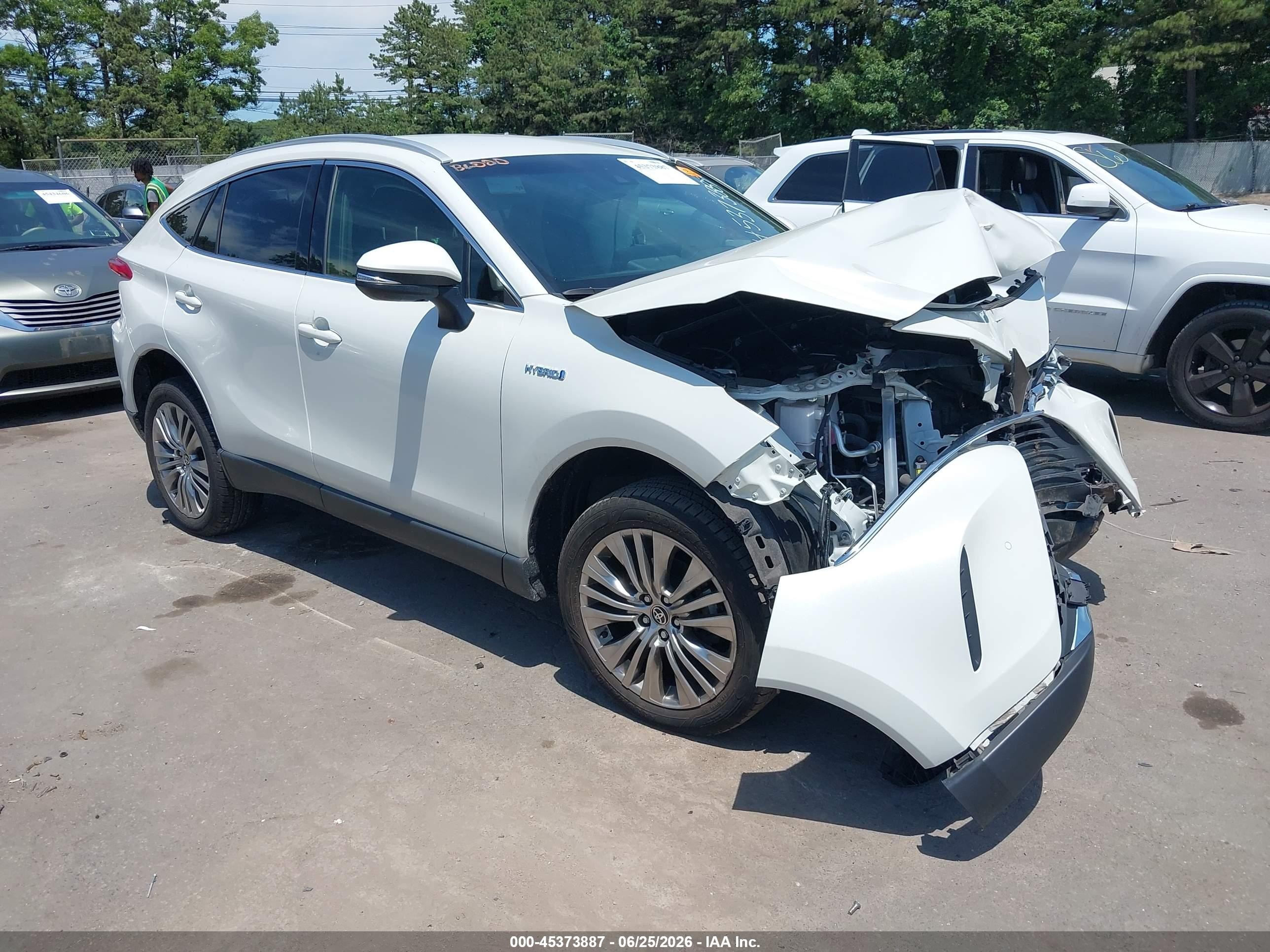 2021 Toyota Venza LE, VIN JTEAAAAH2MJ077167 — Биологическое загрязнение