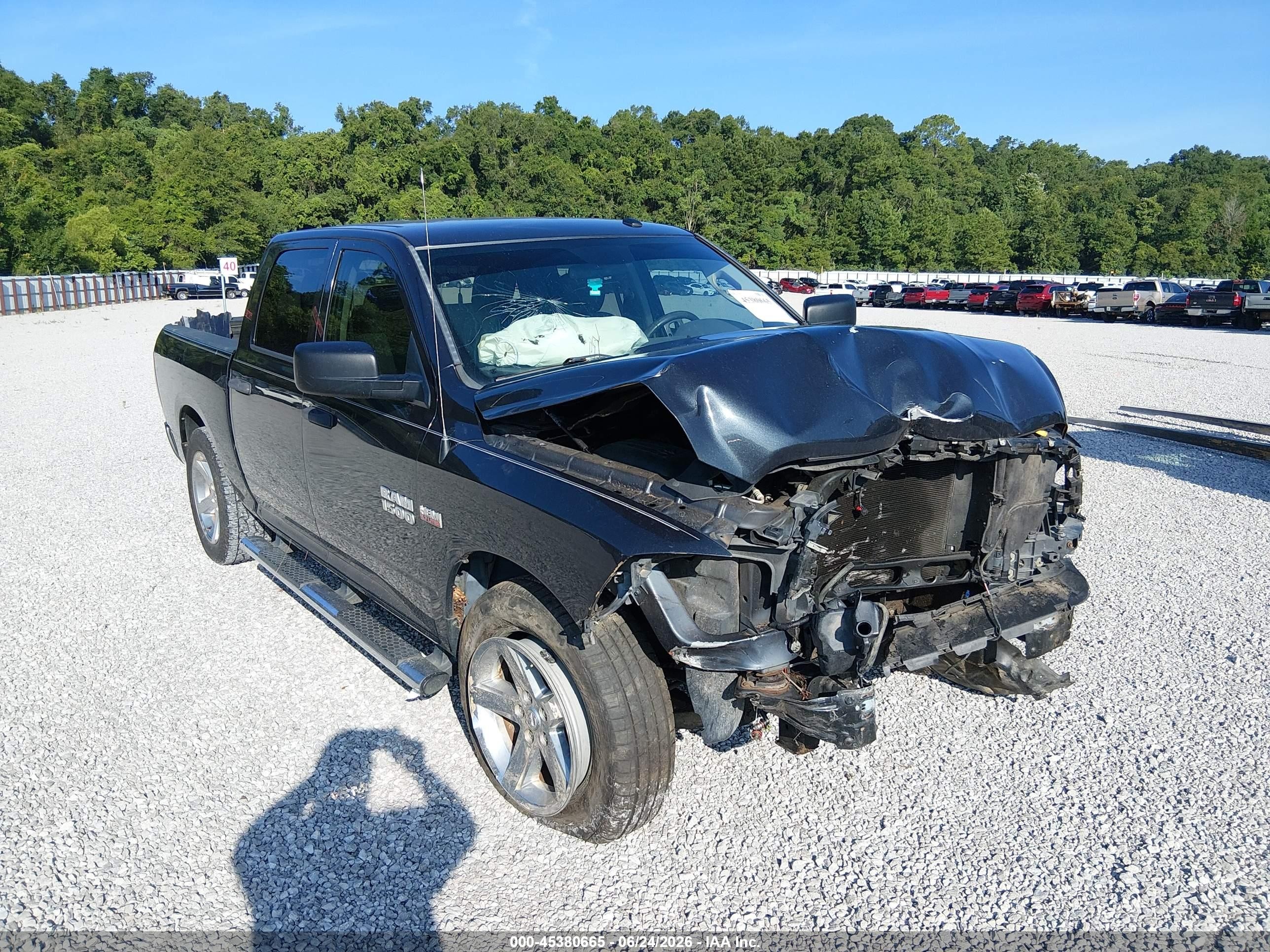 2017 Ram 1500 Tradesman, VIN 3C6RR6KT3HG520845 — Биологическое загрязнение