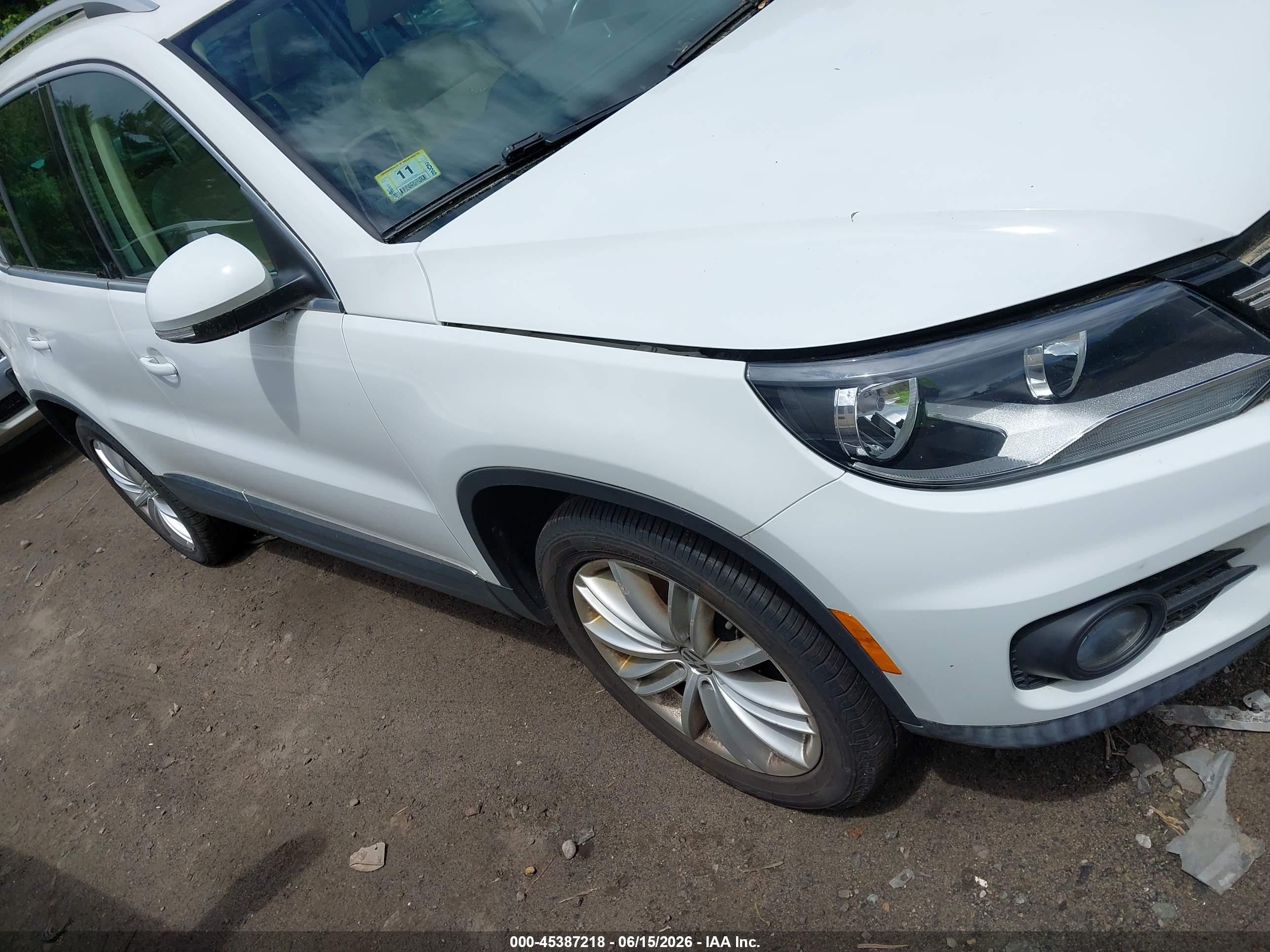 2015 Volkswagen Tiguan SEL, VIN WVGBV7AX9FW116023 — Fresh water flood