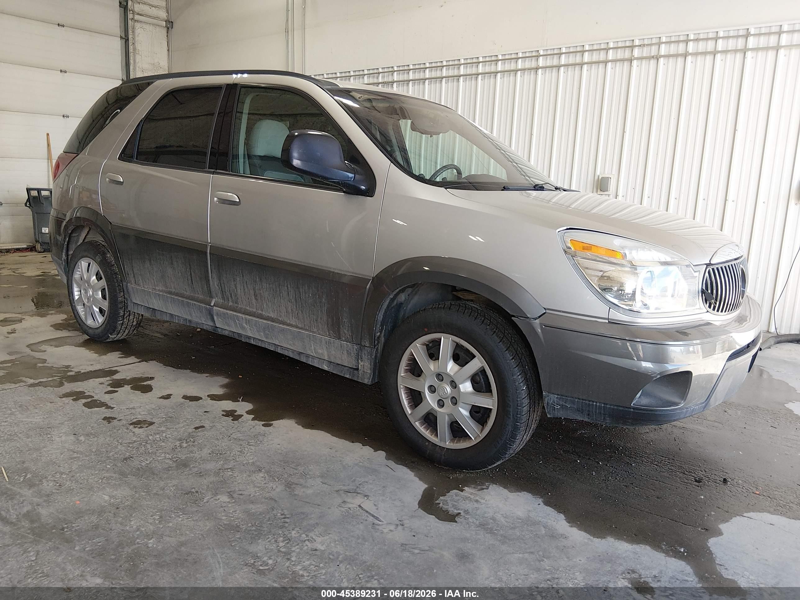 2005 Buick Rendezvous, VIN 3G5DB03E85S559757 — Normal wear