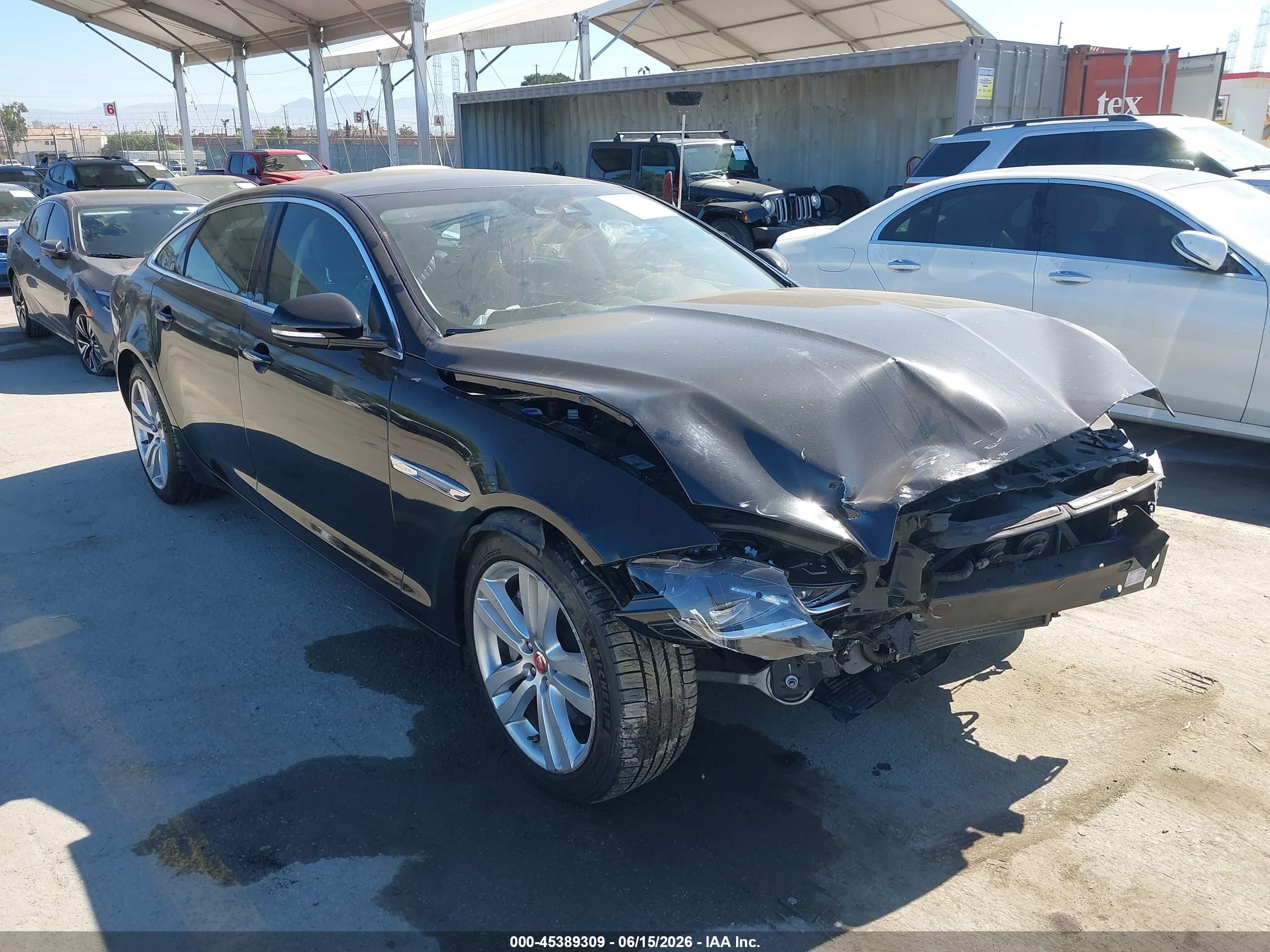 2019 Jaguar XJ Portfolio, VIN SAJWA2G73K8W18148 — Front end