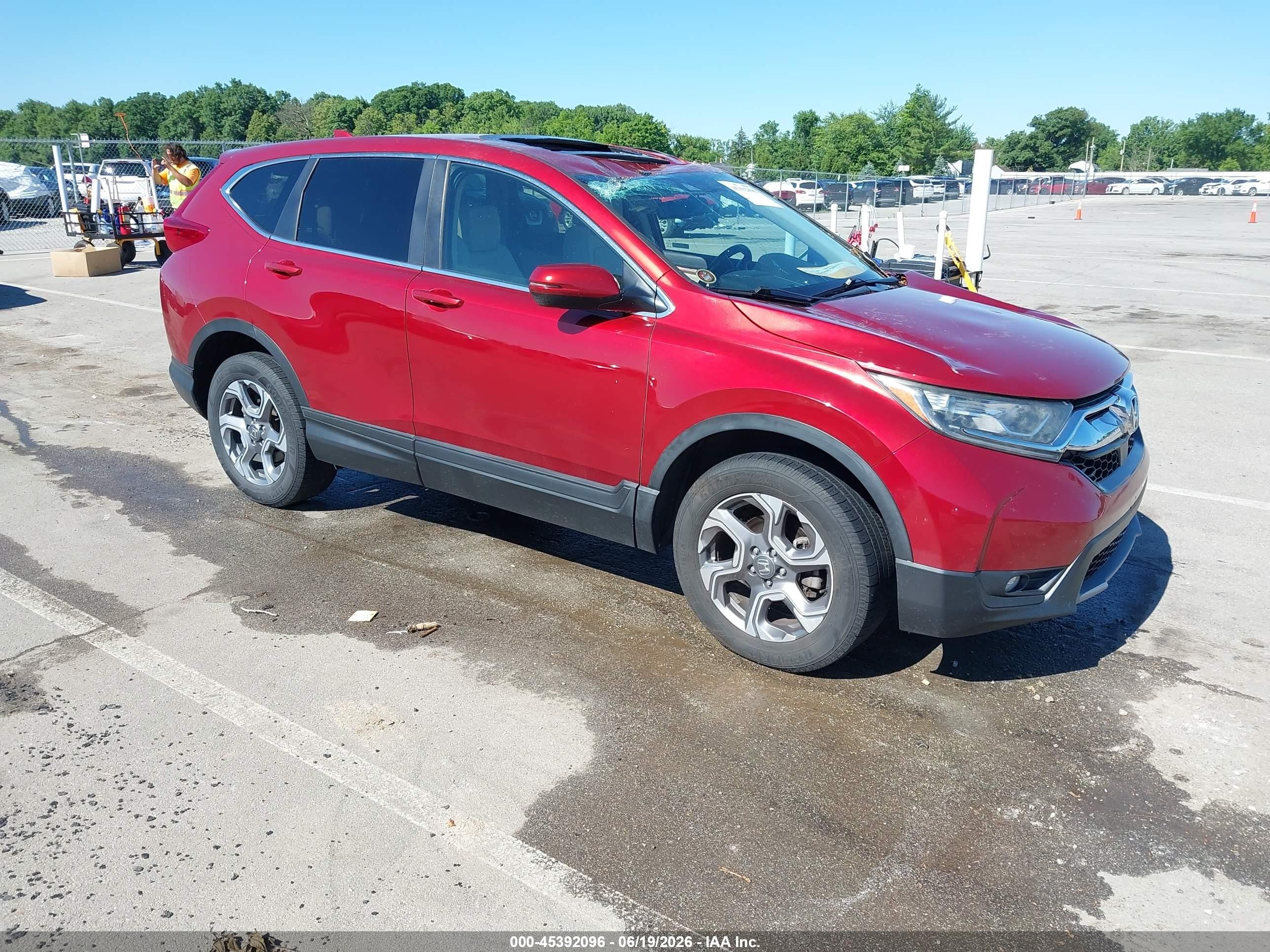 2019 Honda CR-V EX-L, VIN 2HKRW2H8XKH630304 — Крыша