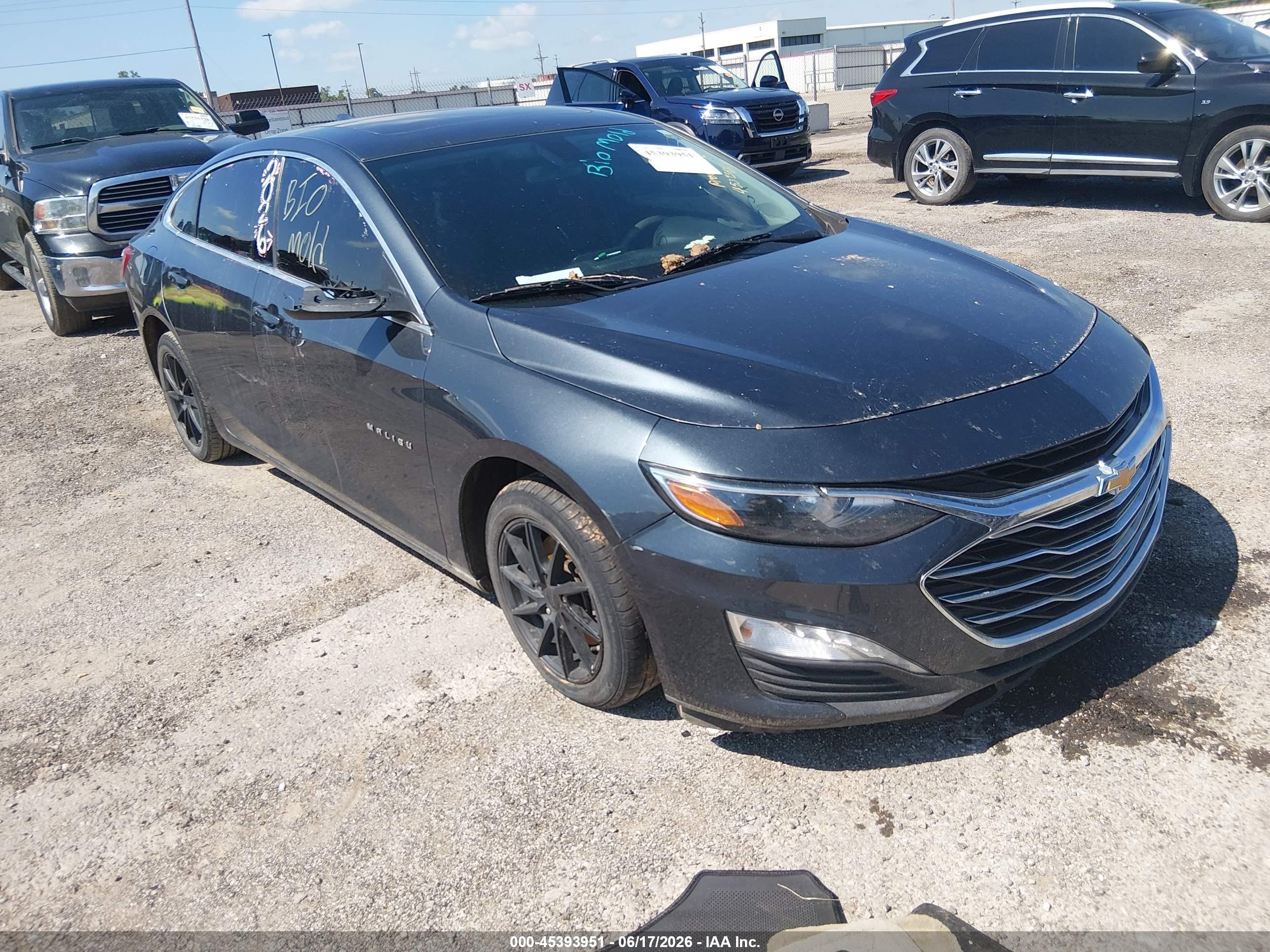 2019 Chevrolet Malibu LT, VIN 1G1ZD5ST4KF149326 — Вода / потоп