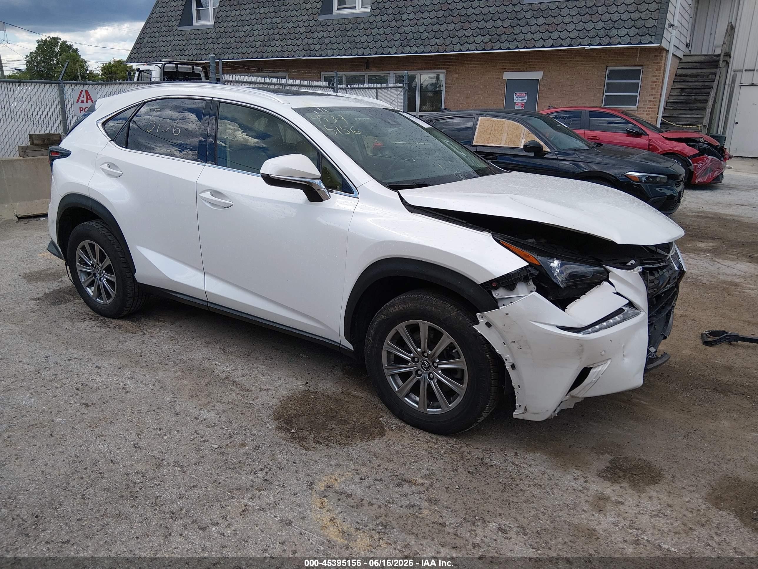 2020 Lexus NX 300, VIN JTJDARDZ2L5006673 — All over
