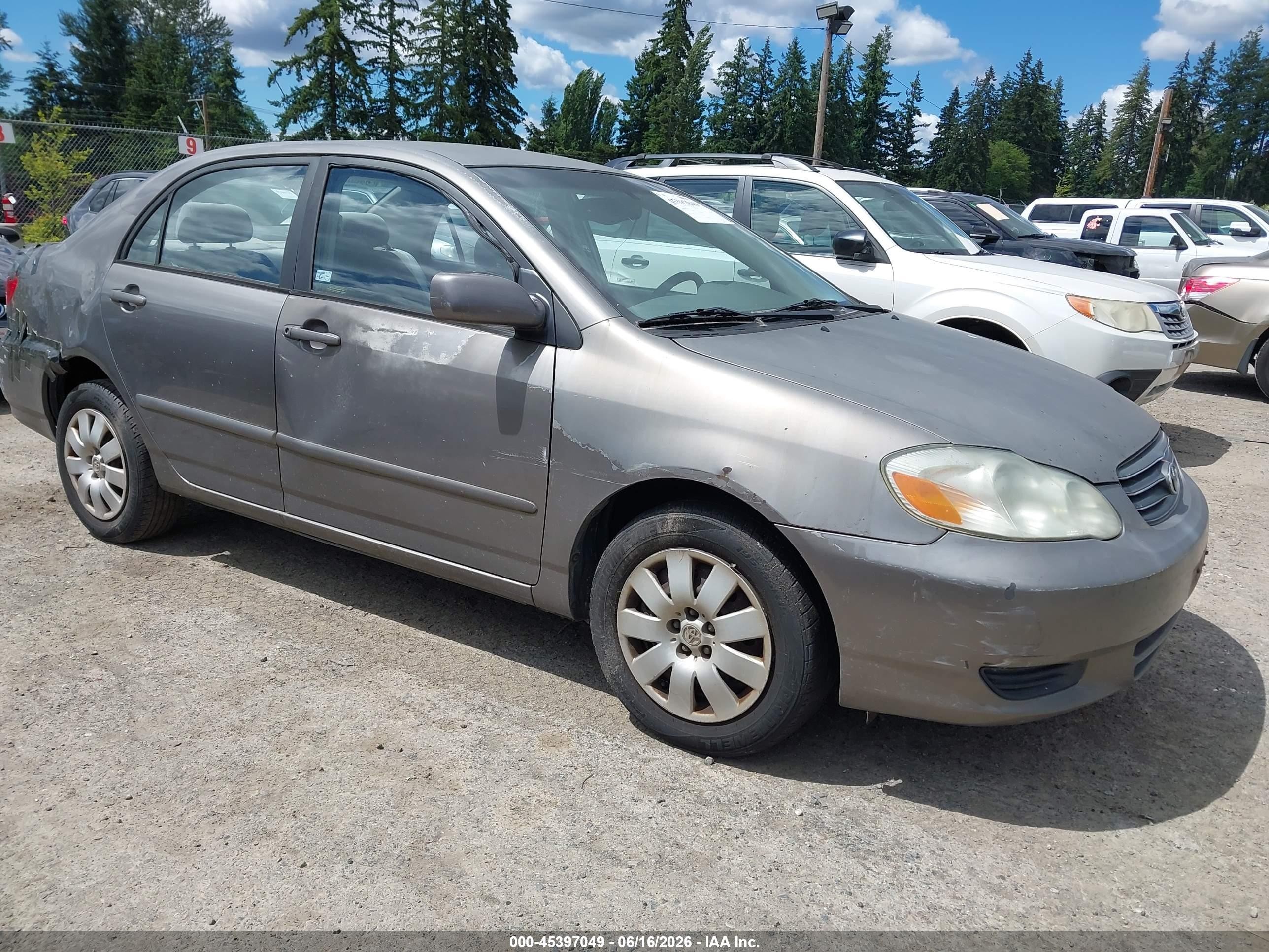 2004 Toyota Corolla LE, VIN 1NXBR38EX4Z253613 — Normal wear