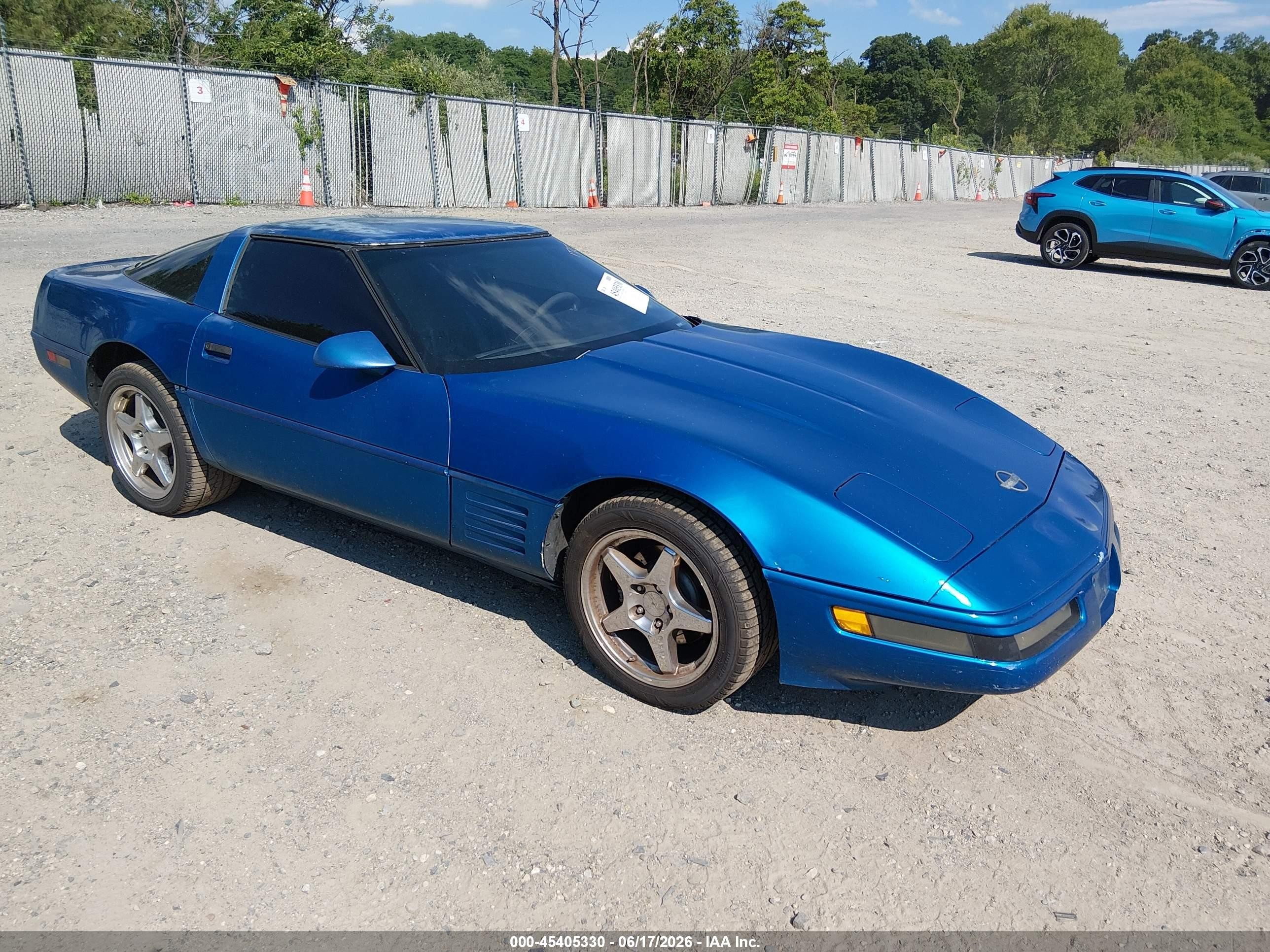 1991 Chevrolet Corvette, VIN 1G1YY2387M5107816 — Front end