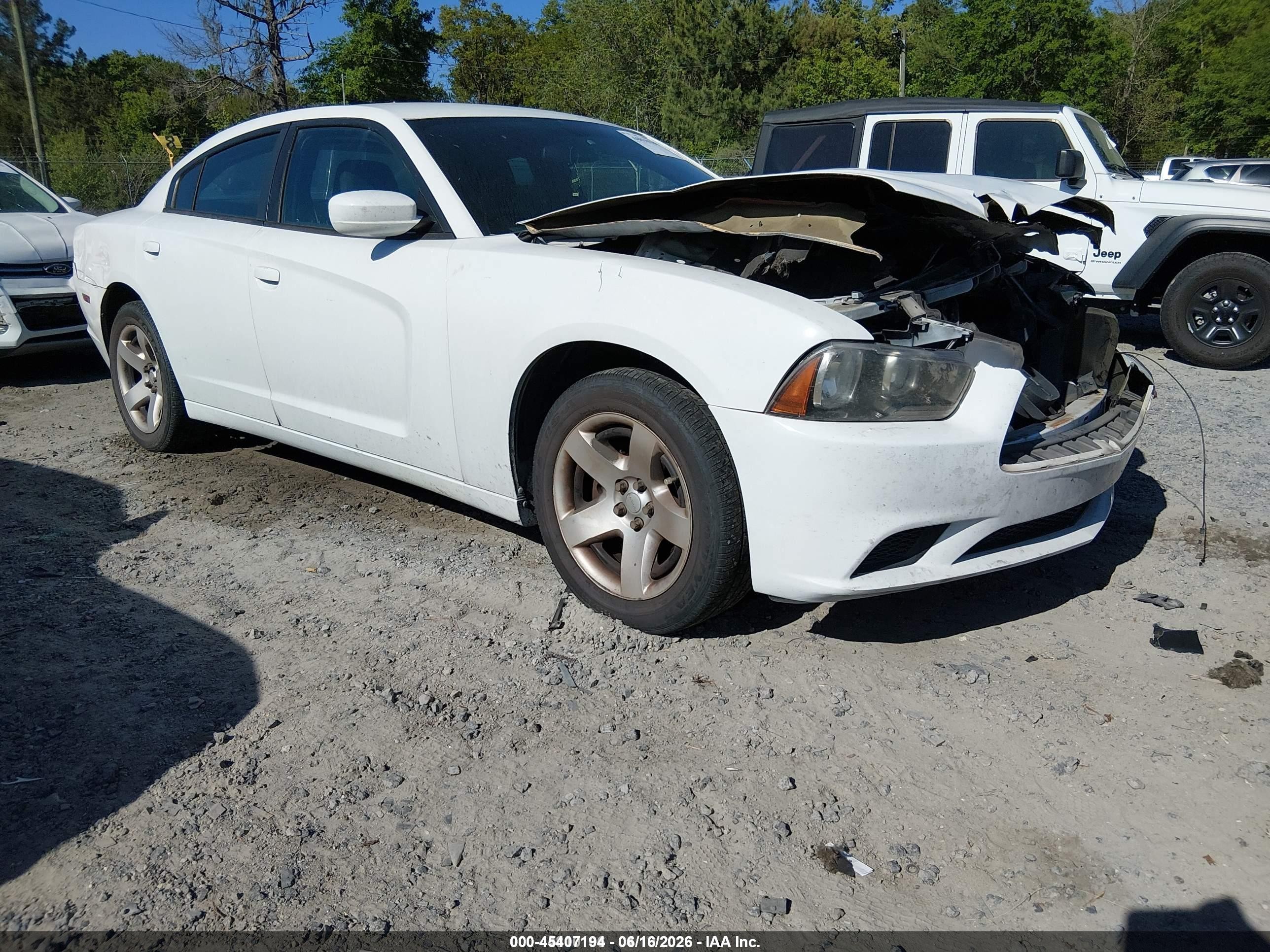 2013 Dodge Charger Police, VIN 2C3CDXAG4DH661378 — Front end