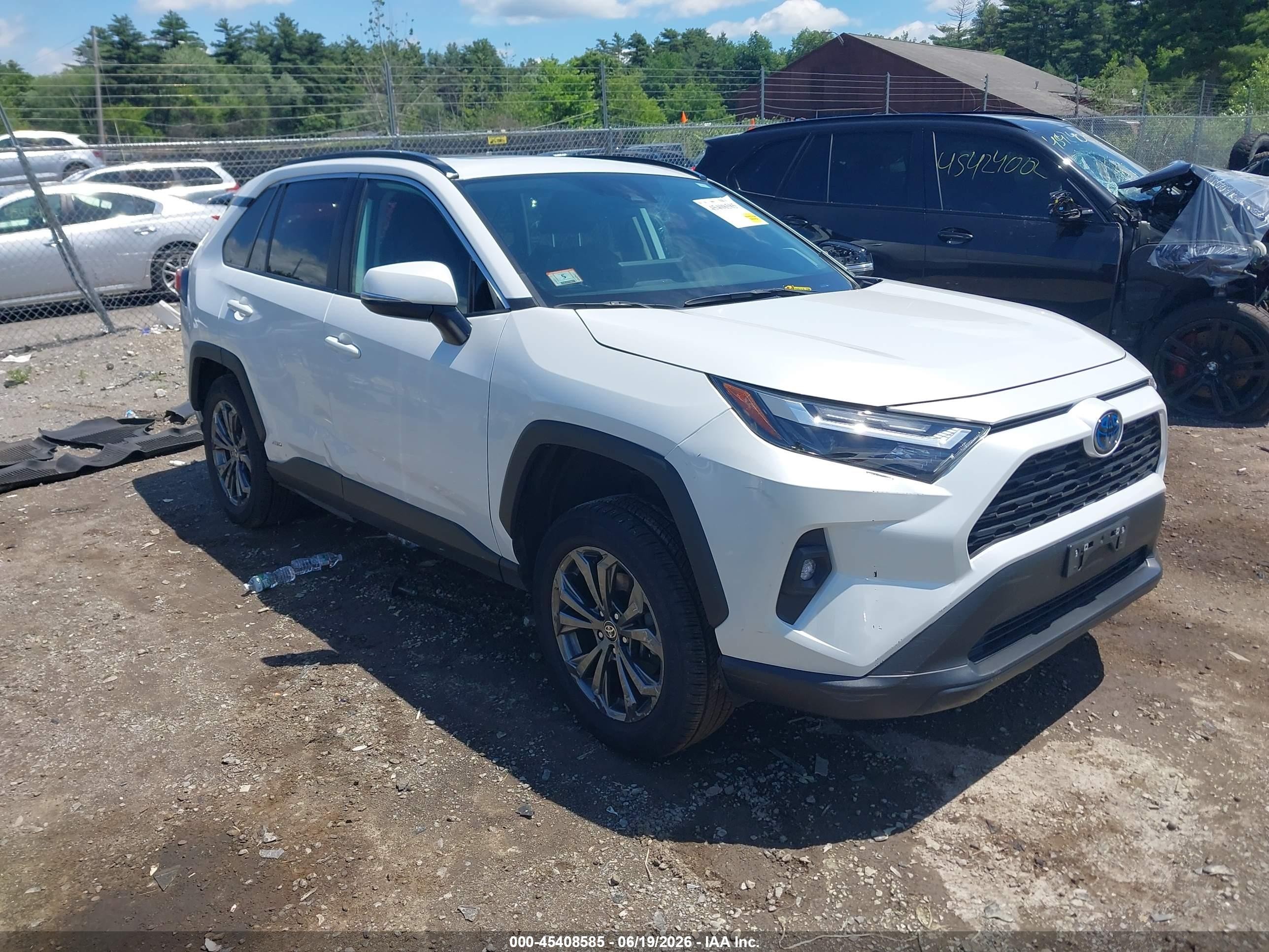 2024 Toyota RAV4 Hybrid XLE Premium, VIN 4T3B6RFV1RU150013 — Rear end