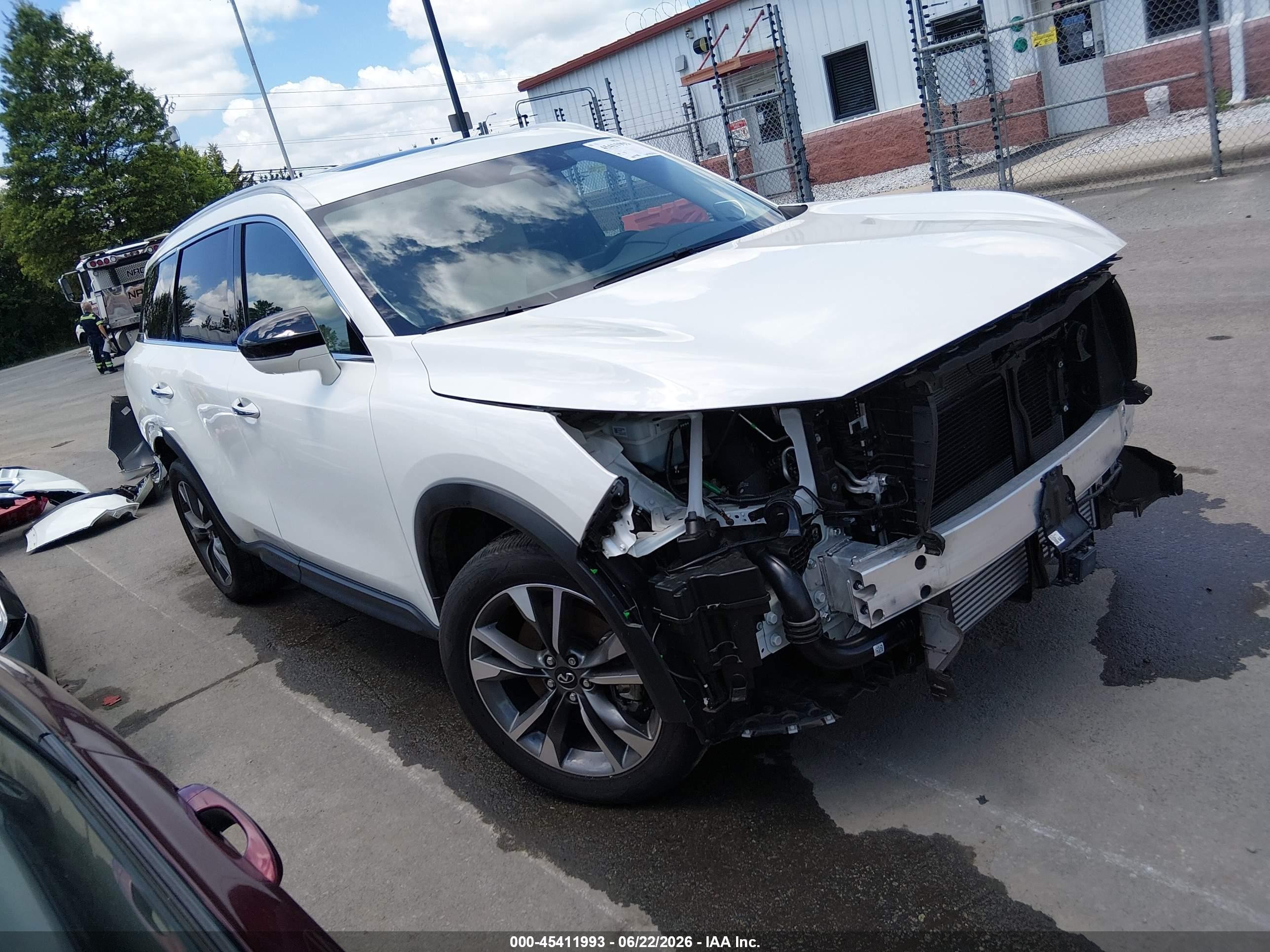 2025 Infiniti QX60 Luxe, VIN 5N1AL1FR3SC353398 — All over