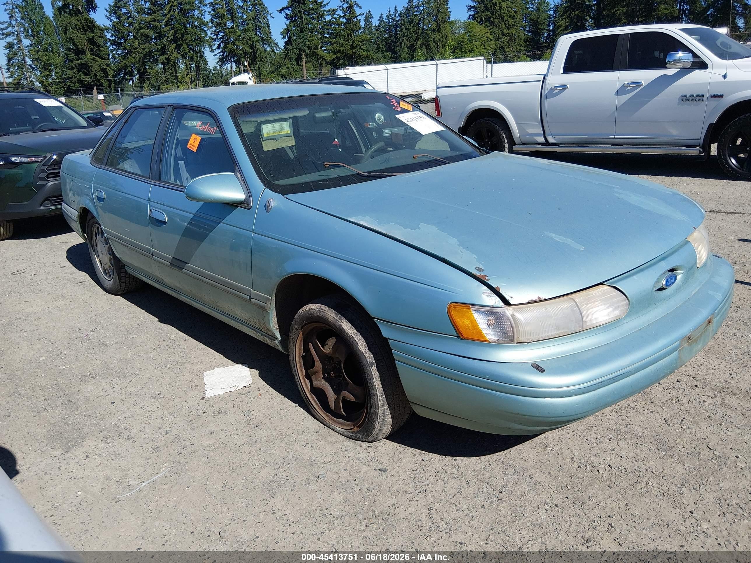 1995 Ford Taurus GL, VIN 1FALP5249SG286355 — Биологическое загрязнение