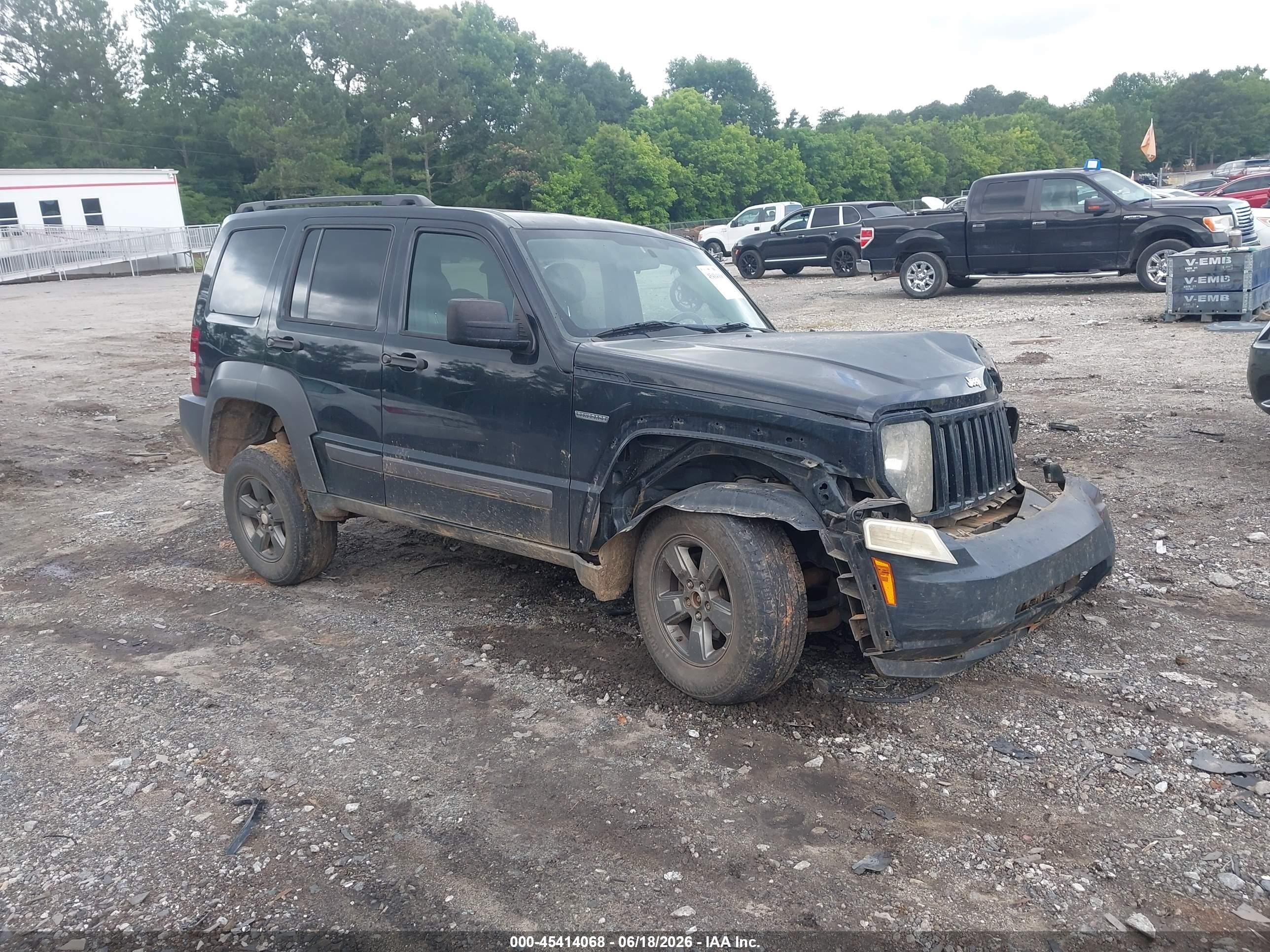 2010 Jeep Liberty Renegade, VIN 1J4PN3GK7AW147174 — Биологическое загрязнение