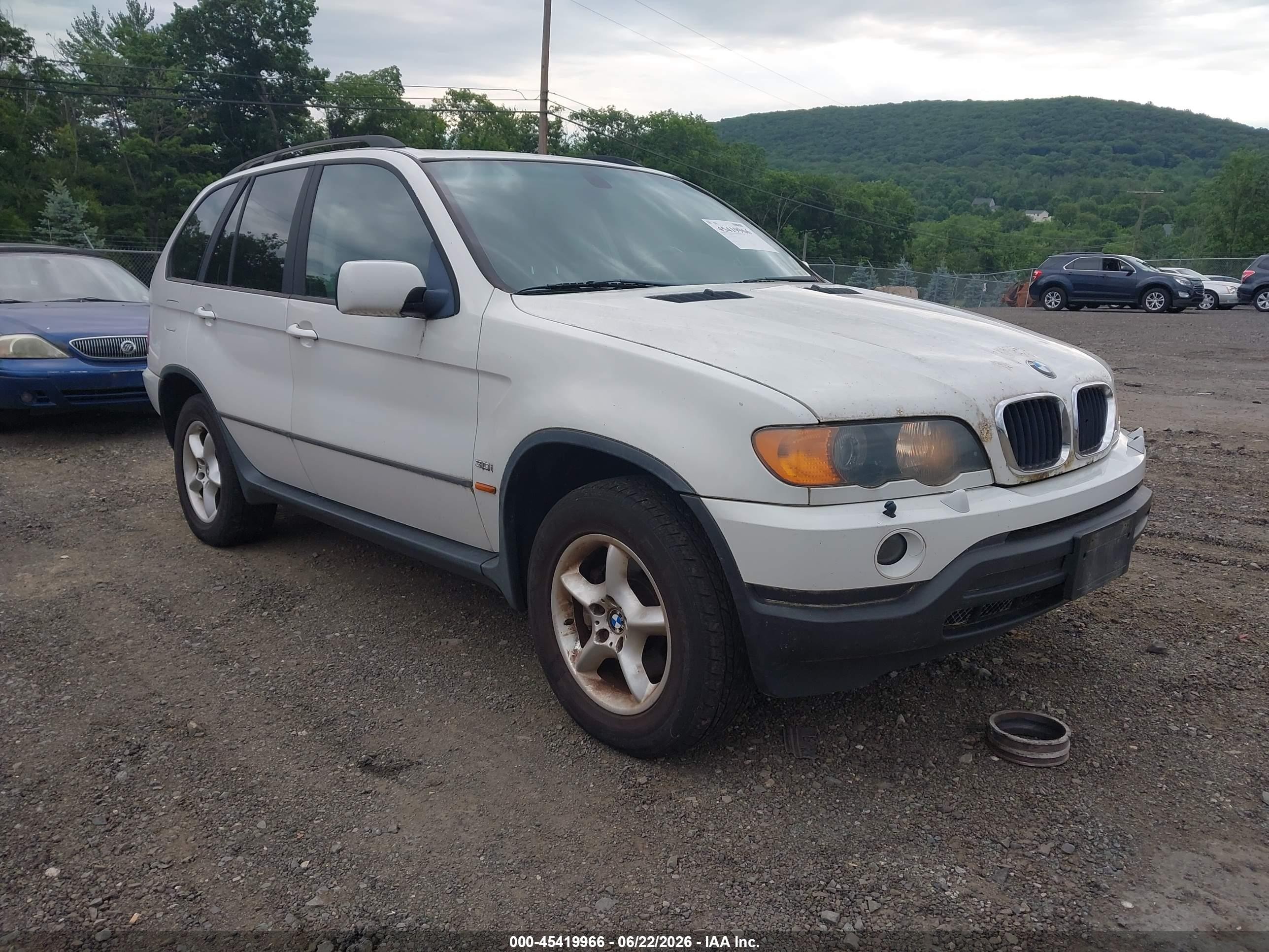 2003 BMW X5 3.0i, VIN 5UXFA53583LH80846 — Обычный износ