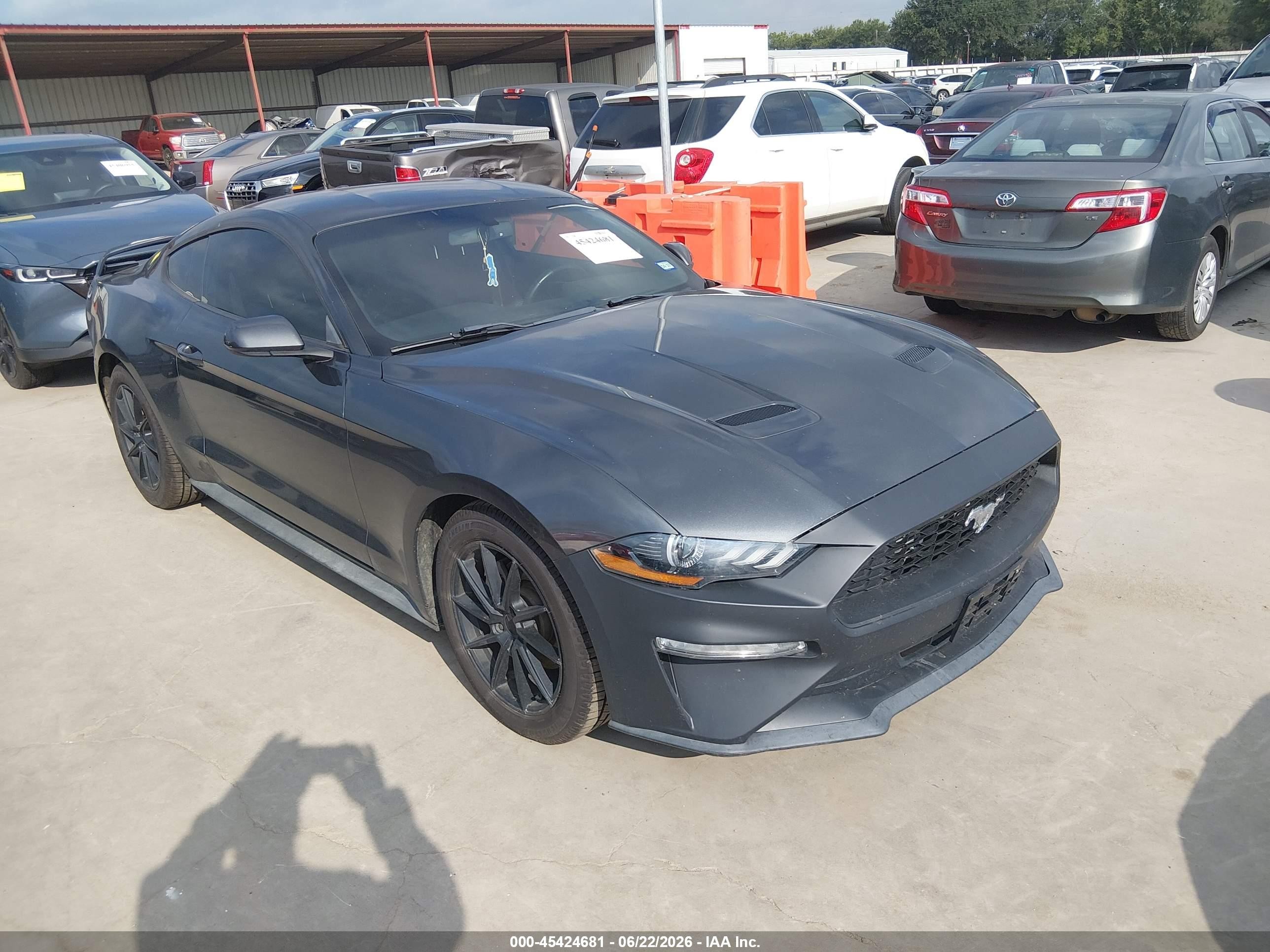 2019 Ford Mustang EcoBoost, VIN 1FA6P8TH5K5185485 — All over