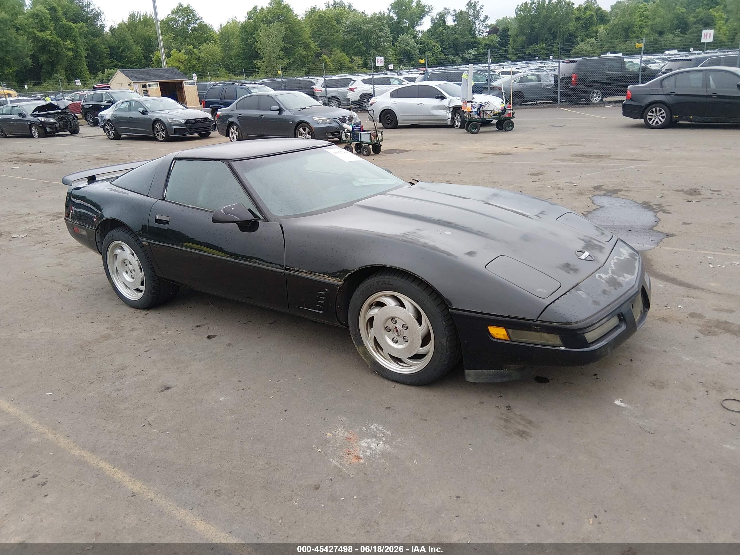 1996 Chevrolet Corvette, VIN 1G1YY22P2T5101610 — Normal wear