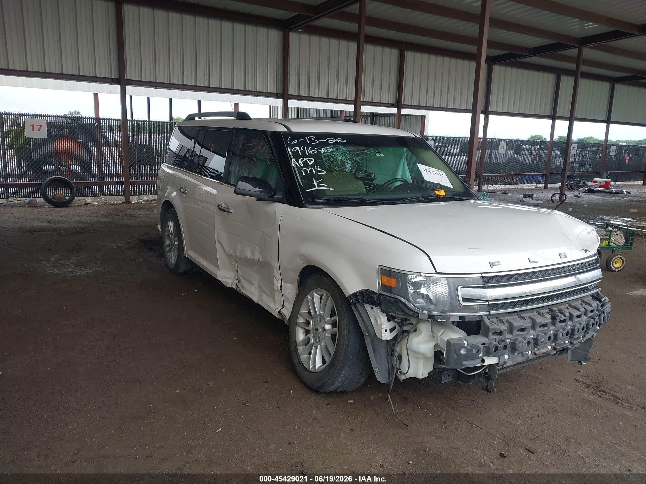 2019 Ford Flex SEL, VIN 2FMGK5C81KBA22299 — Биологическое загрязнение