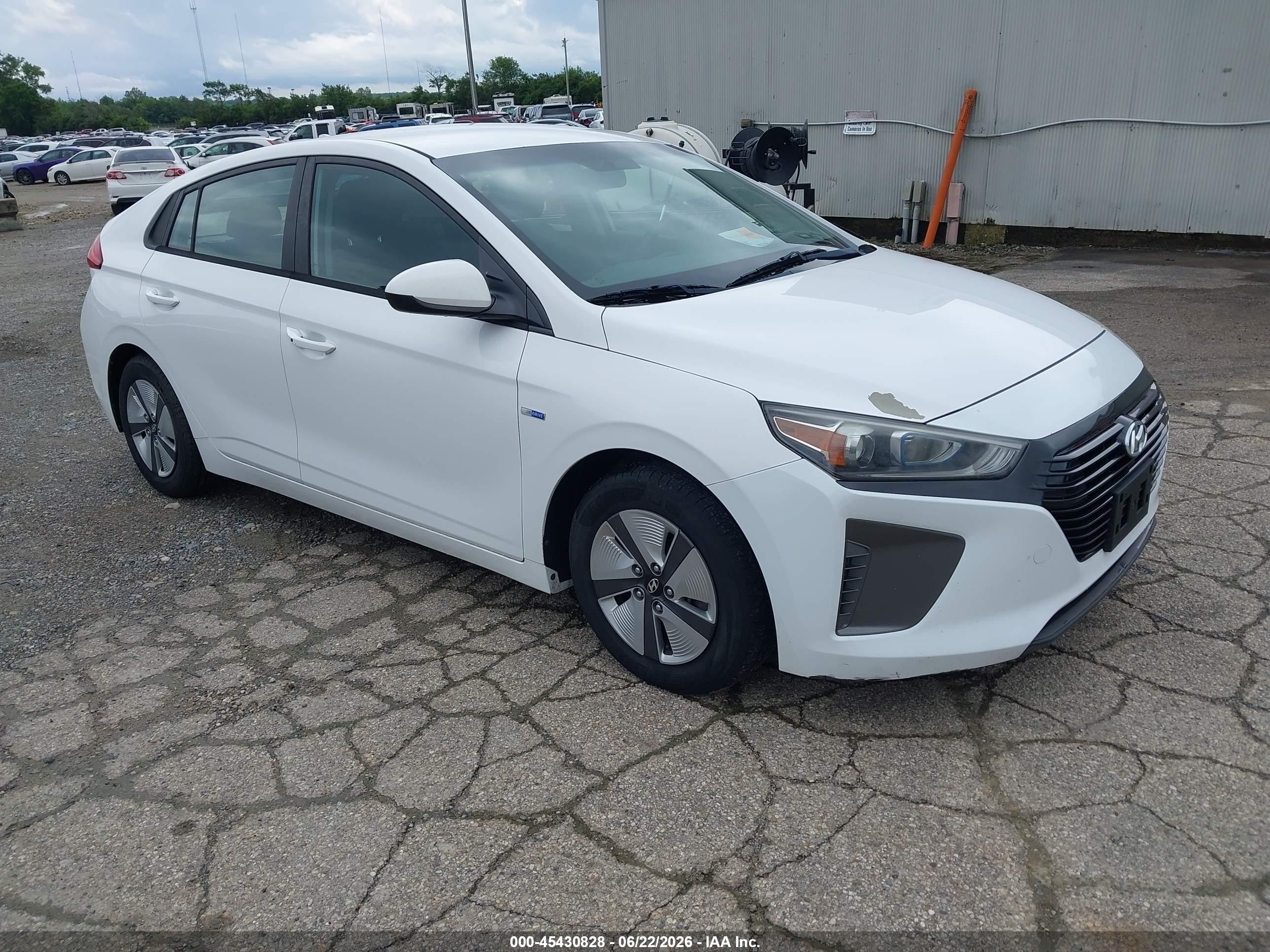 2019 Hyundai Ioniq Blue, VIN KMHC65LC3KU106710 — Бок
