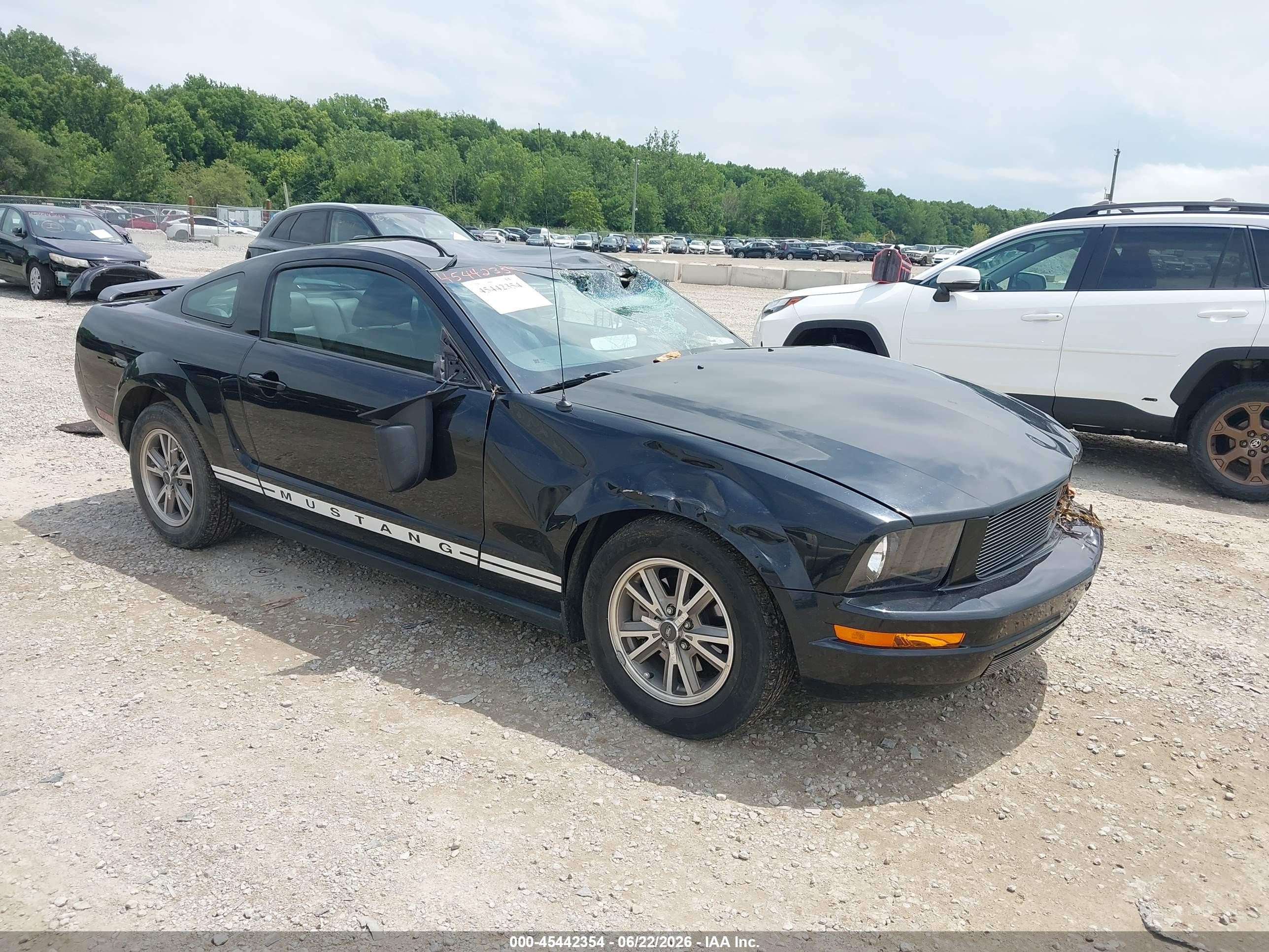 2005 Ford Mustang Deluxe, VIN 1ZVFT80N755144129 — Storm
