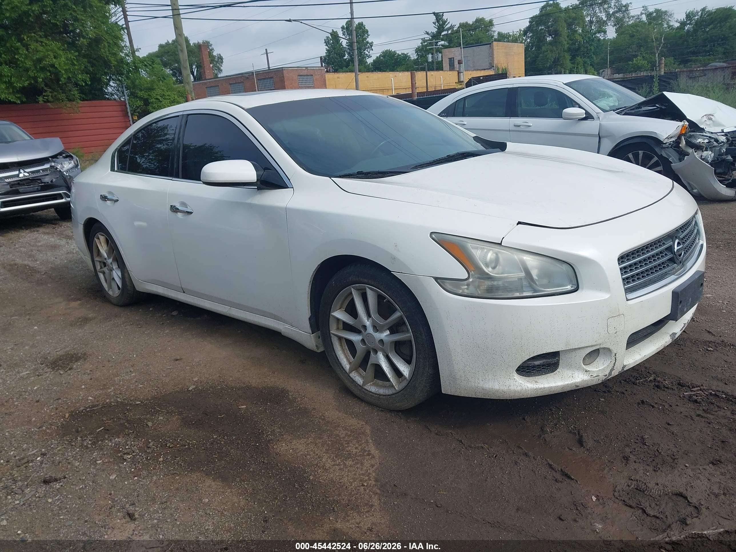 2011 Nissan Maxima SV, VIN 1N4AA5AP1BC851645 — По всему кузову