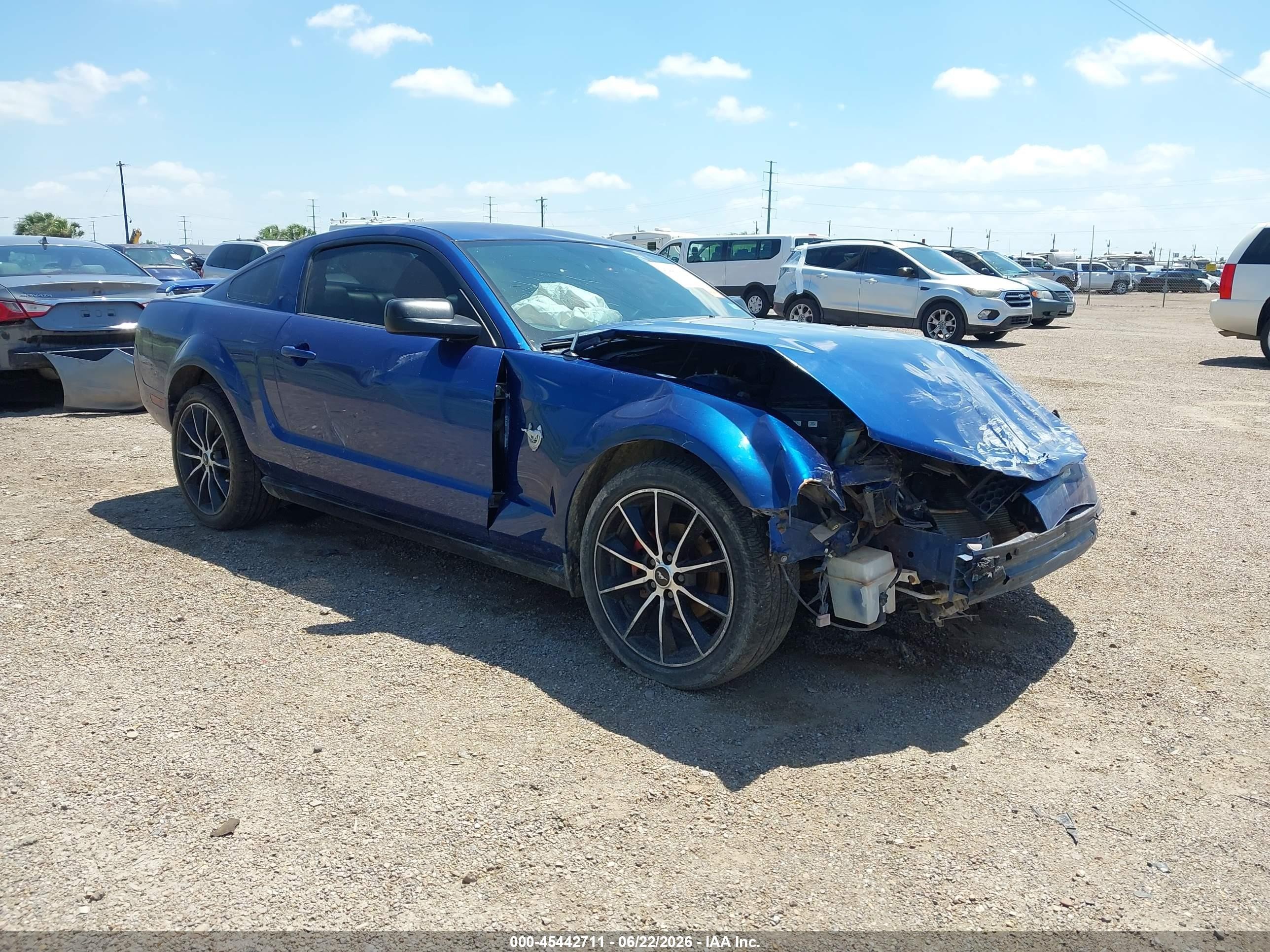 2009 Ford Mustang, VIN 1ZVHT80N595144029 — Front end