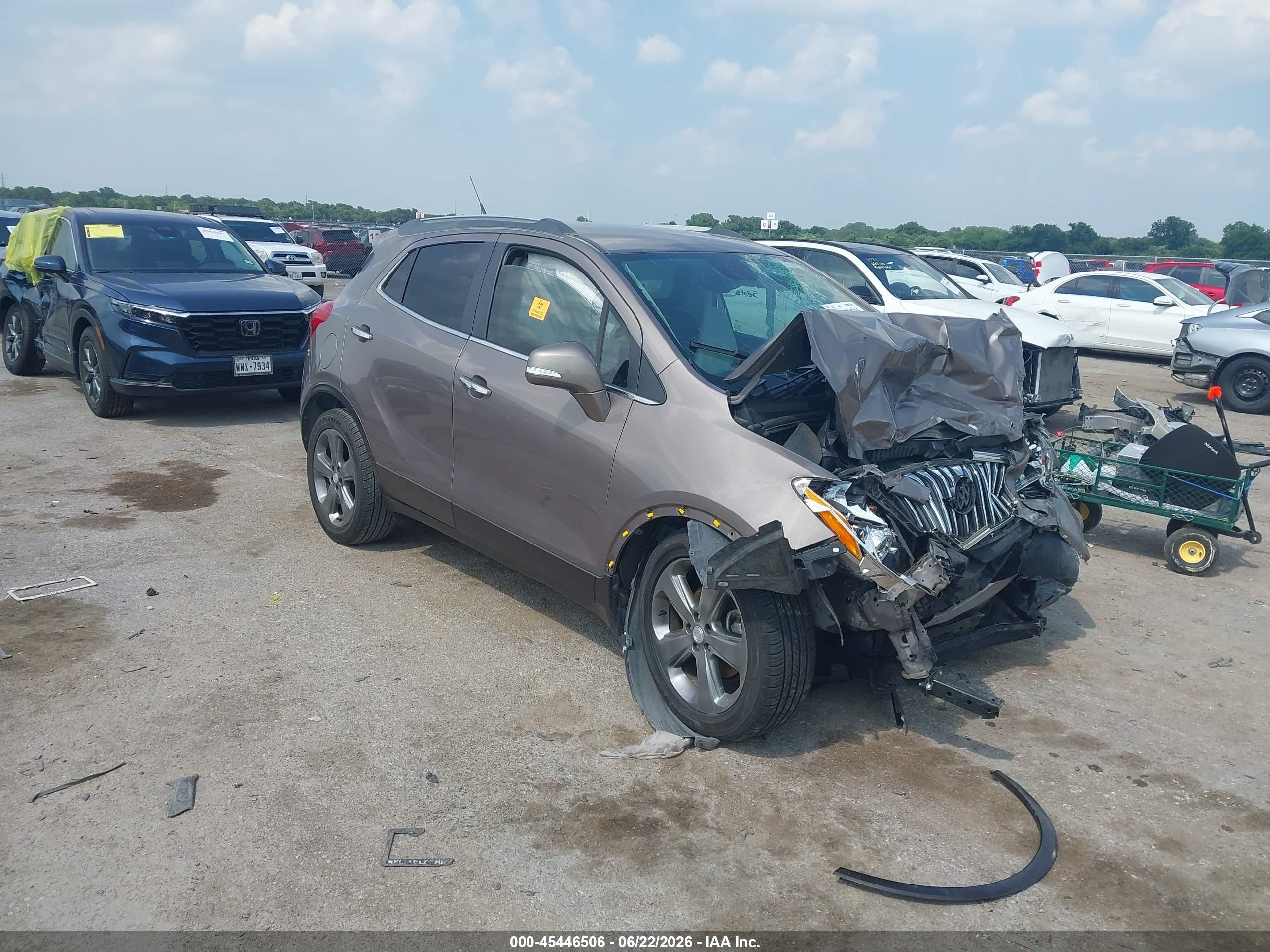 2014 Buick Encore Leather, VIN KL4CJCSB7EB687817 — Биологическое загрязнение
