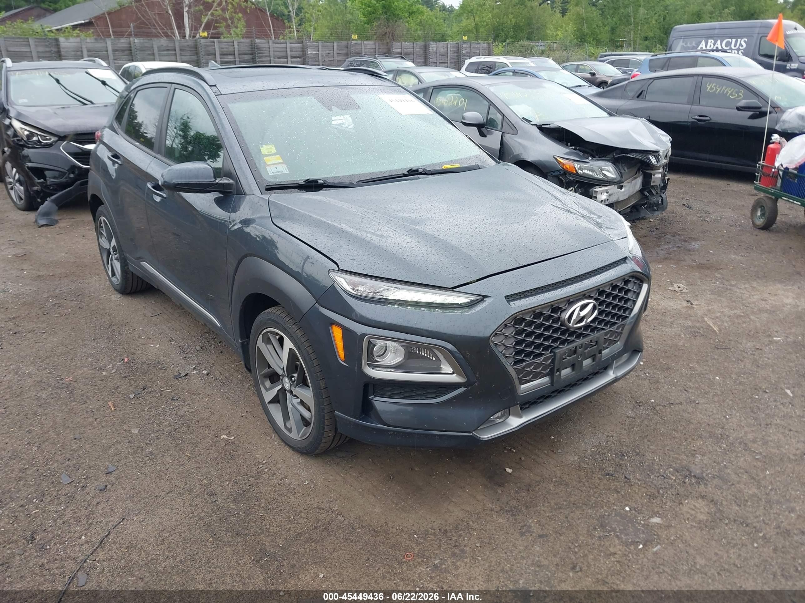 2019 Hyundai Kona Limited, VIN KM8K3CA53KU240601 — Side