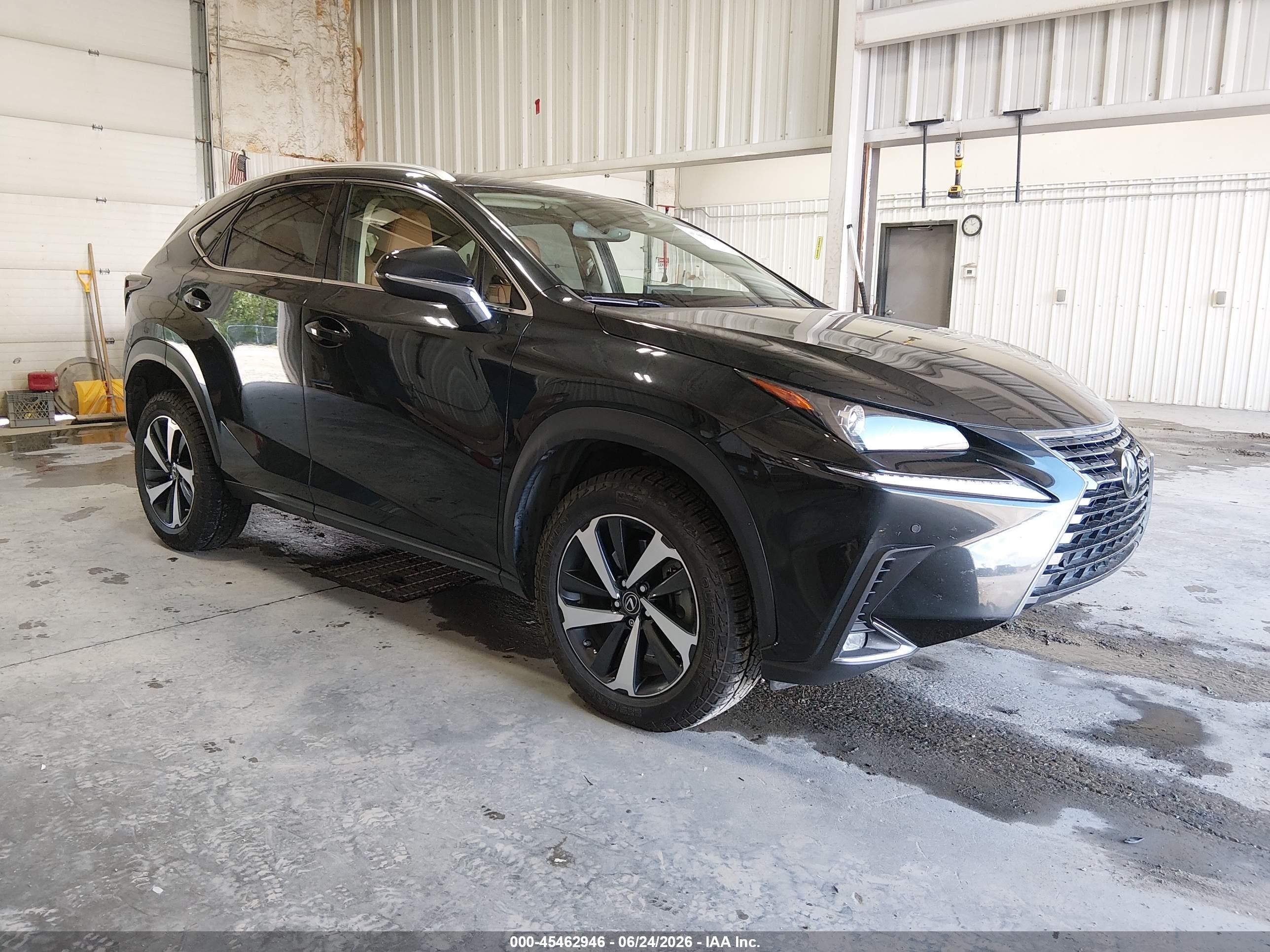 2020 Lexus NX 300, VIN JTJGARDZ7L2223392 — Front end