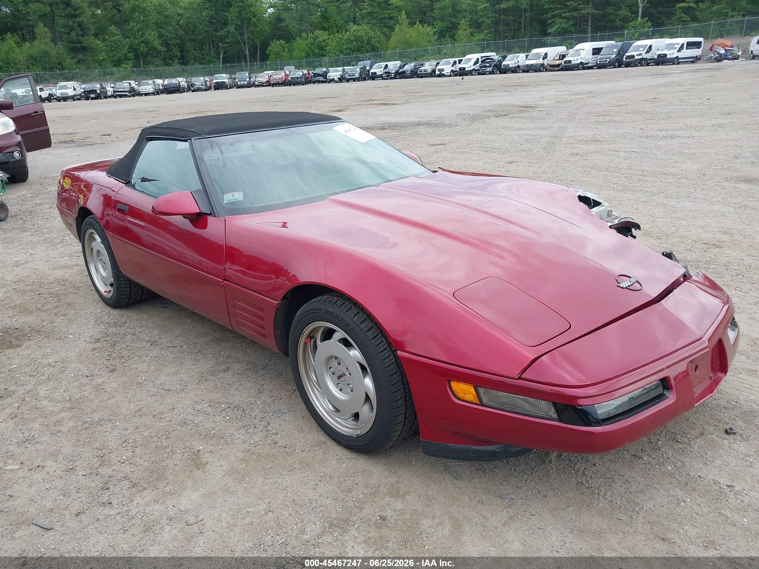 1991 Chevrolet Corvette, VIN 1G1YY3385M5102829 — Front end