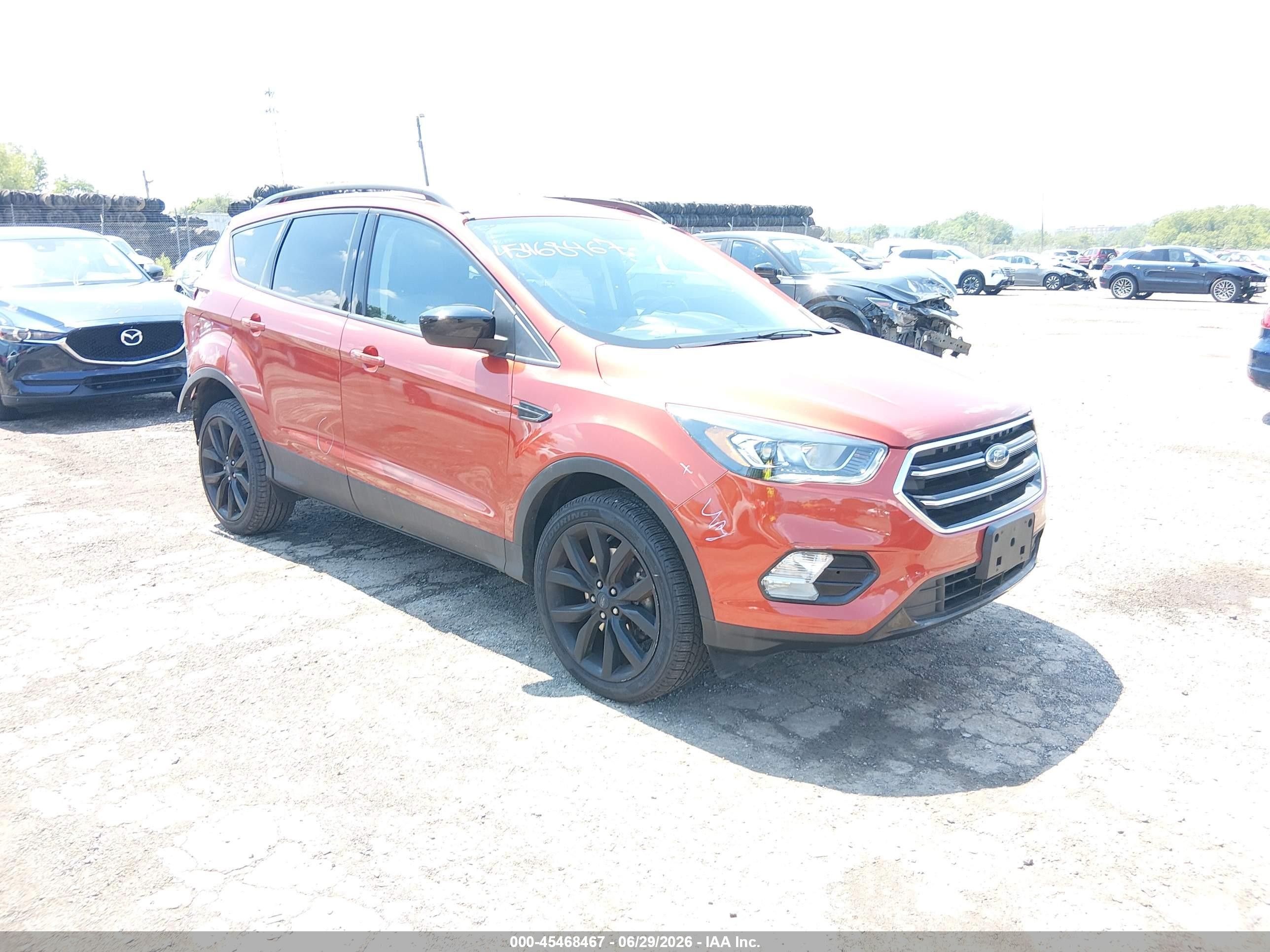 2019 Ford Escape SE, VIN 1FMCU9GDXKUB07028 — Зад