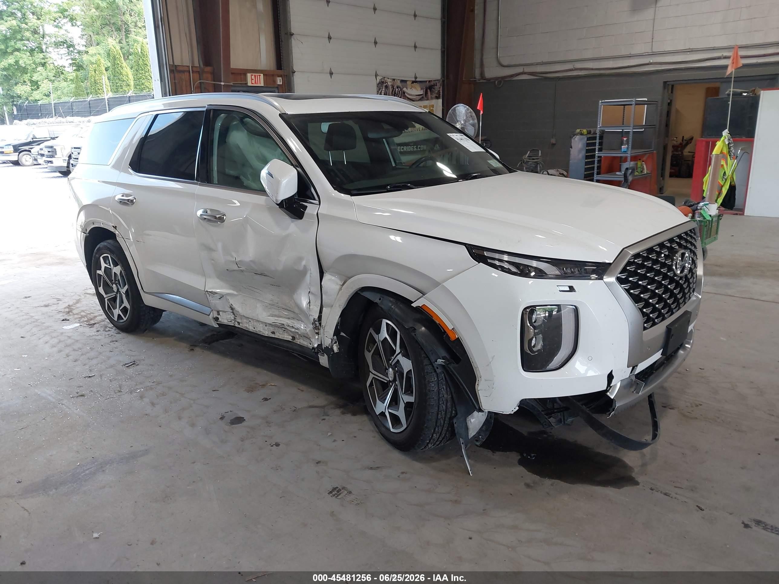 2022 Hyundai Palisade Calligraphy, VIN KM8R7DHE6NU344261 — Side