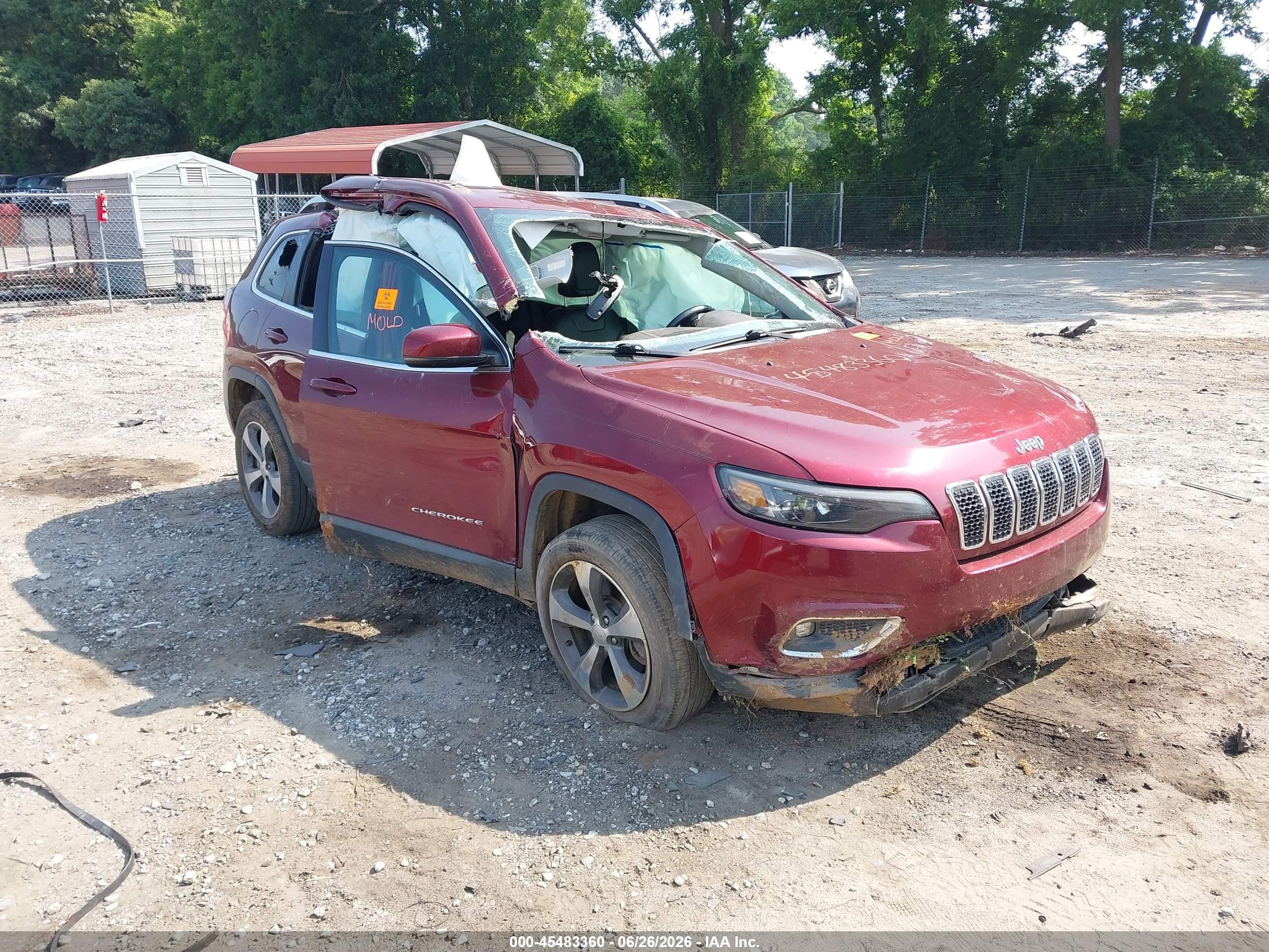 2019 Jeep Cherokee Limited, VIN 1C4PJLDB4KD444115 — Биологическое загрязнение