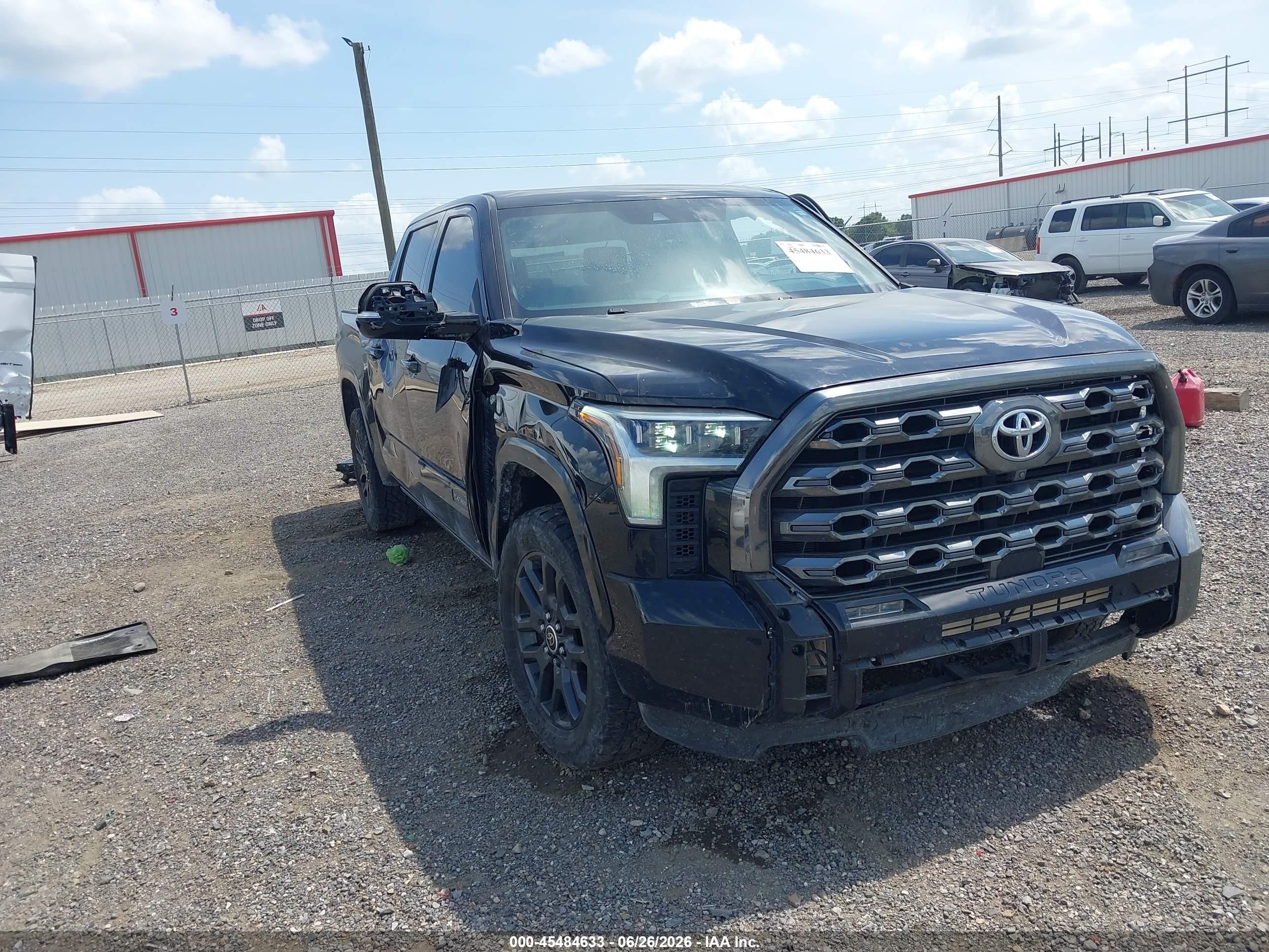 2022 Toyota Tundra Platinum, VIN 5TFNA5DB6NX014303 — Side