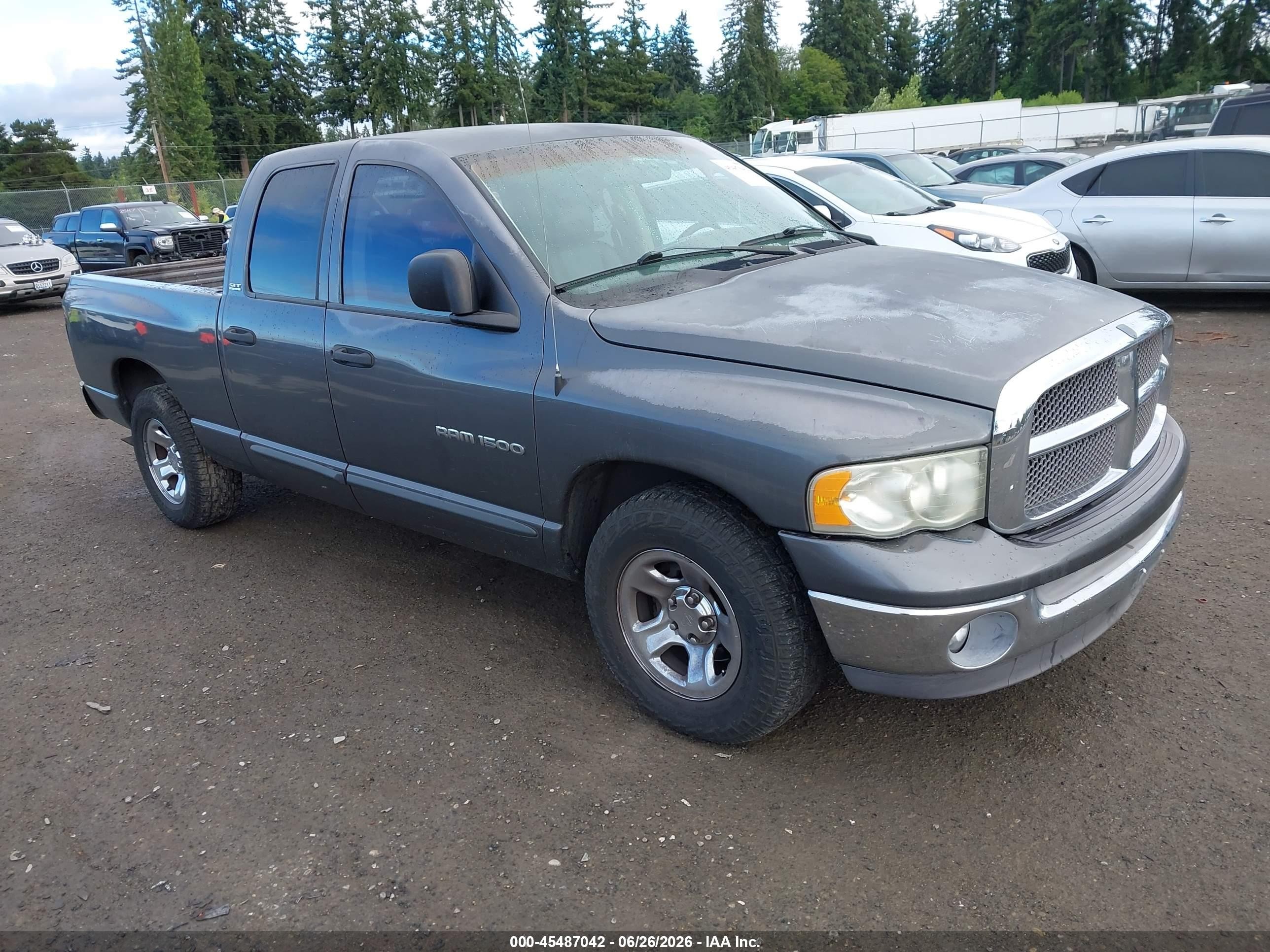 2002 Dodge 1500, VIN 1D7HA18N32S594165 — Обычный износ