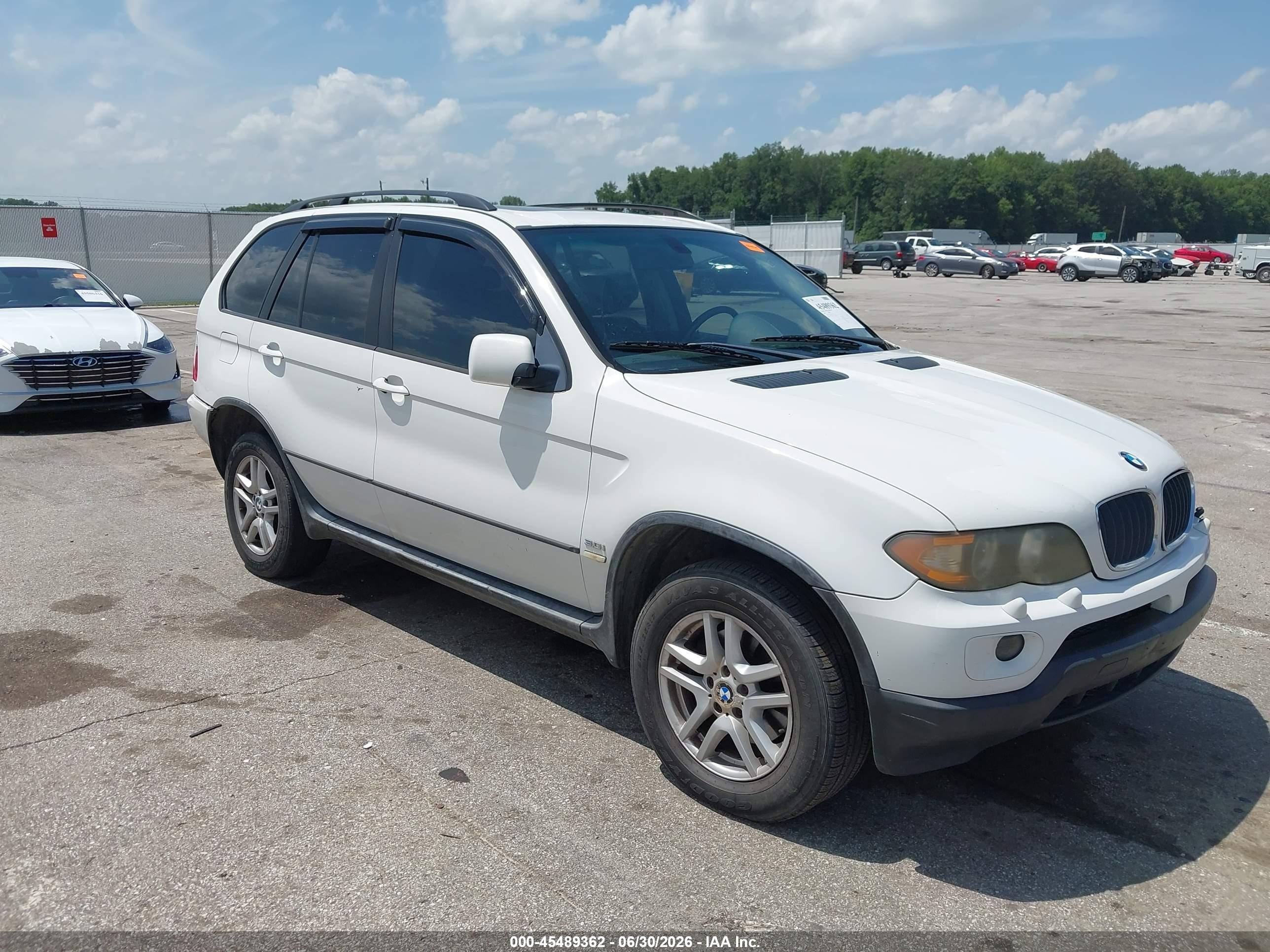 2005 BMW X5 3.0i, VIN 5UXFA13545LY21191 — Зад