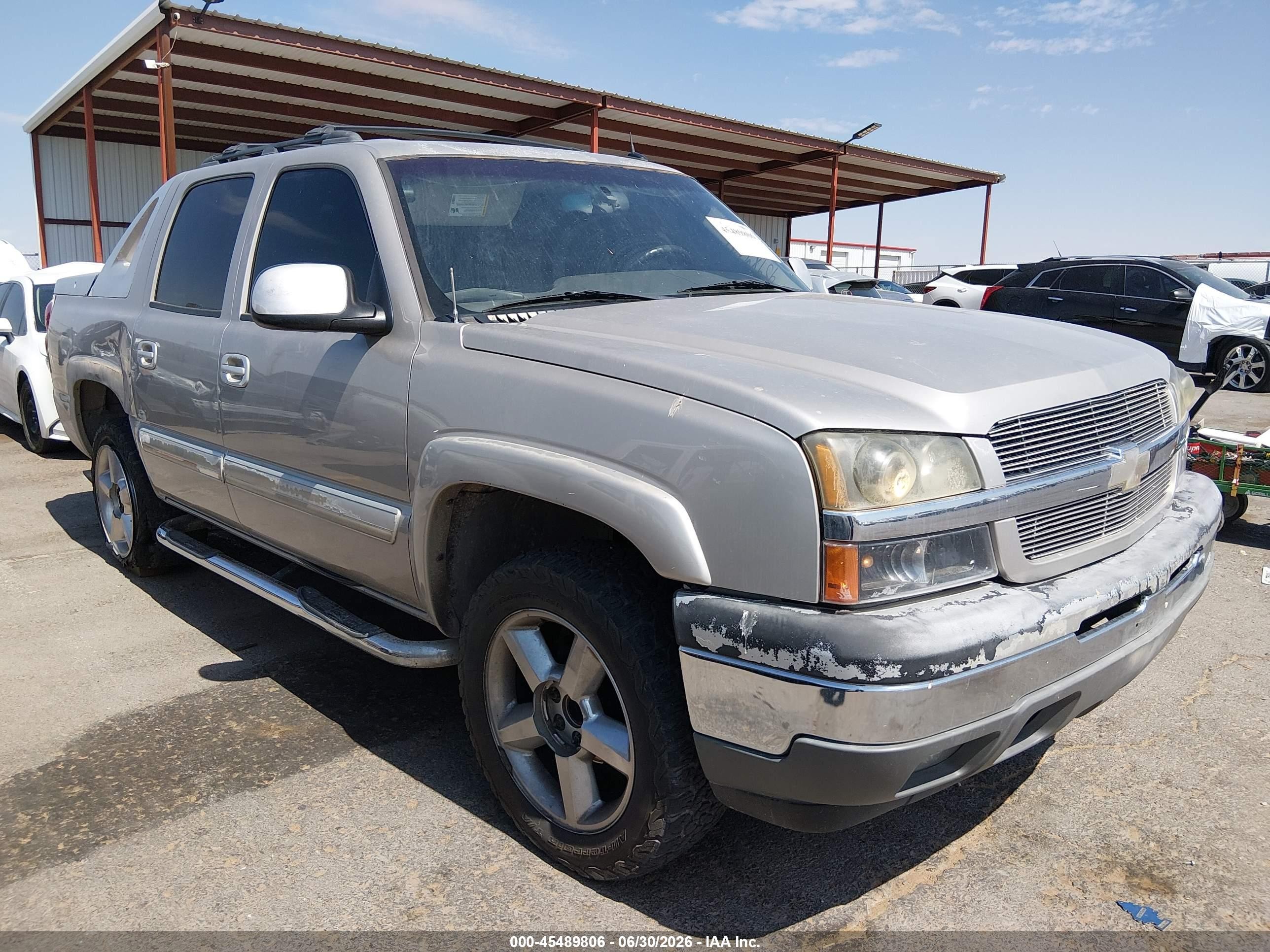 2005 Chevrolet Avalanche LS, VIN 3GNEC12ZX5G179477 — Side