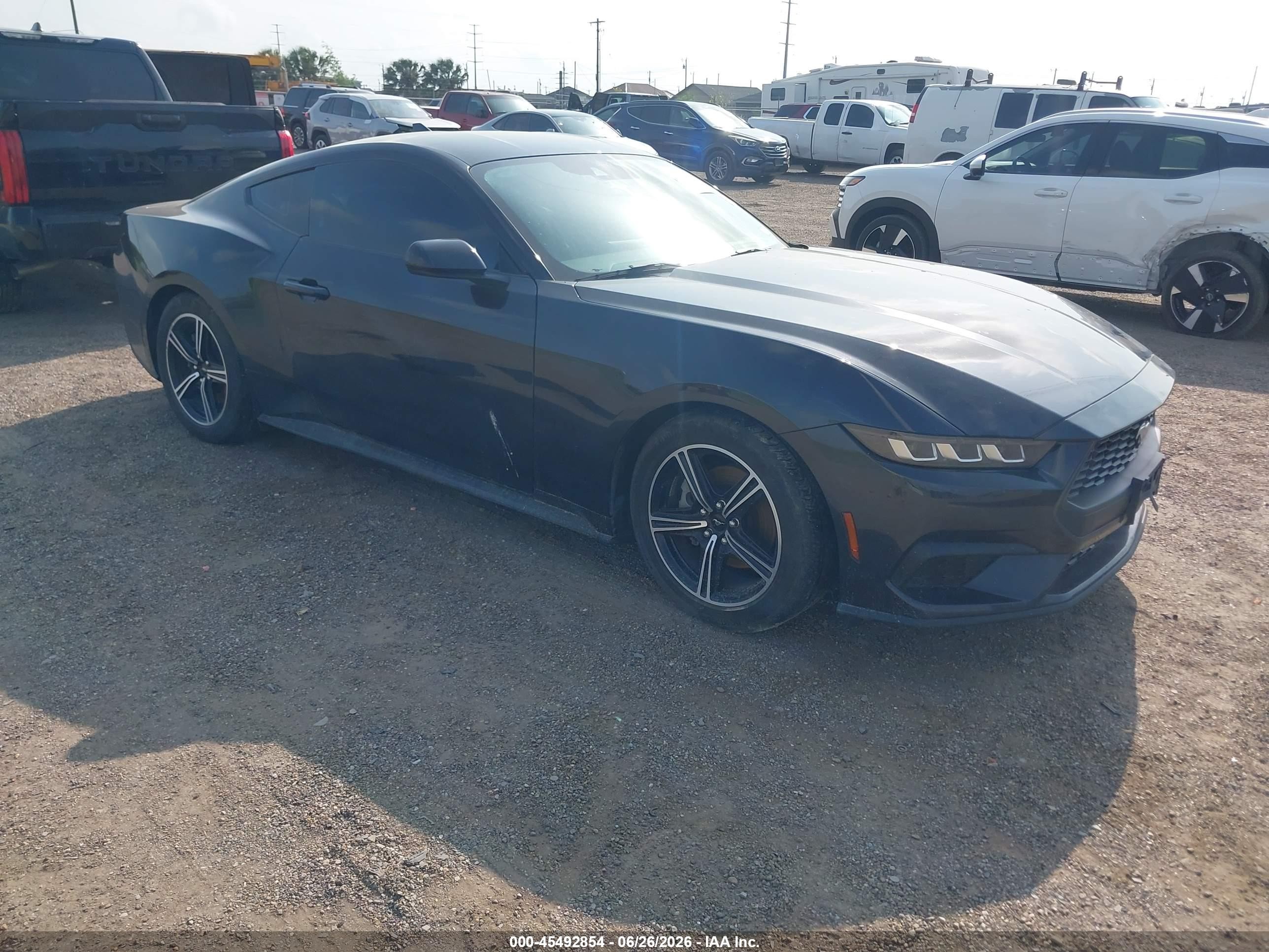 2024 Ford Mustang EcoBoost, VIN 1FA6P8TH0R5140027 — Вода / потоп