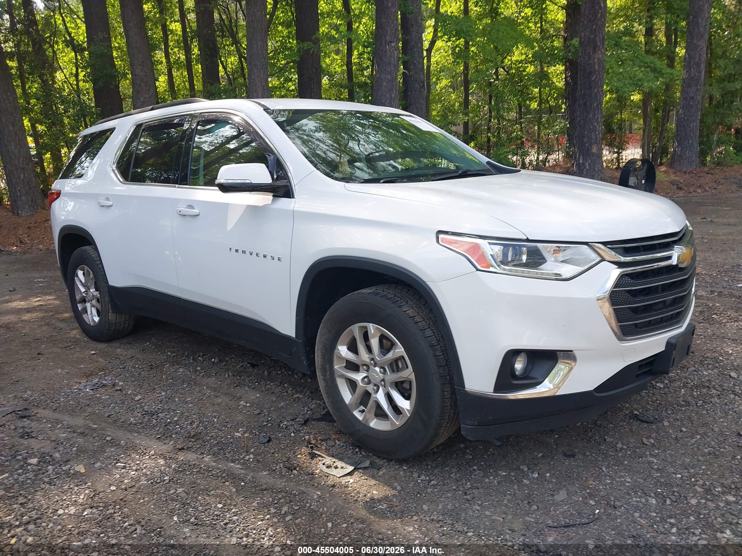 2019 Chevrolet Traverse LT Cloth, VIN 1GNEVGKW3KJ200747 — Side