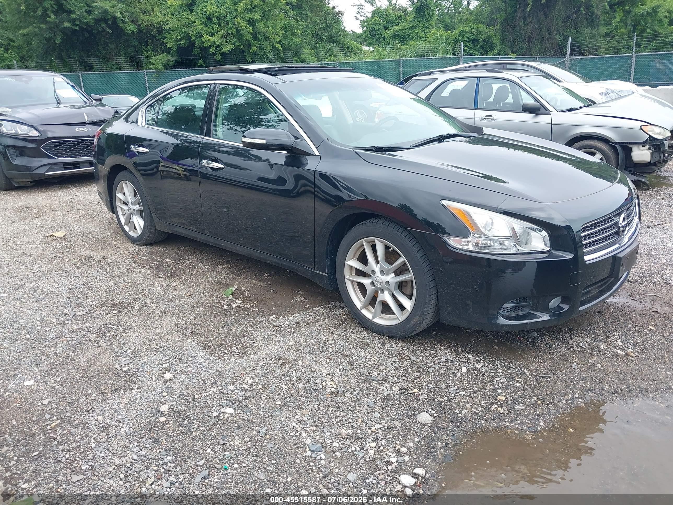 2010 Nissan Maxima SV, VIN 1N4AA5APXAC872119 — Крыша