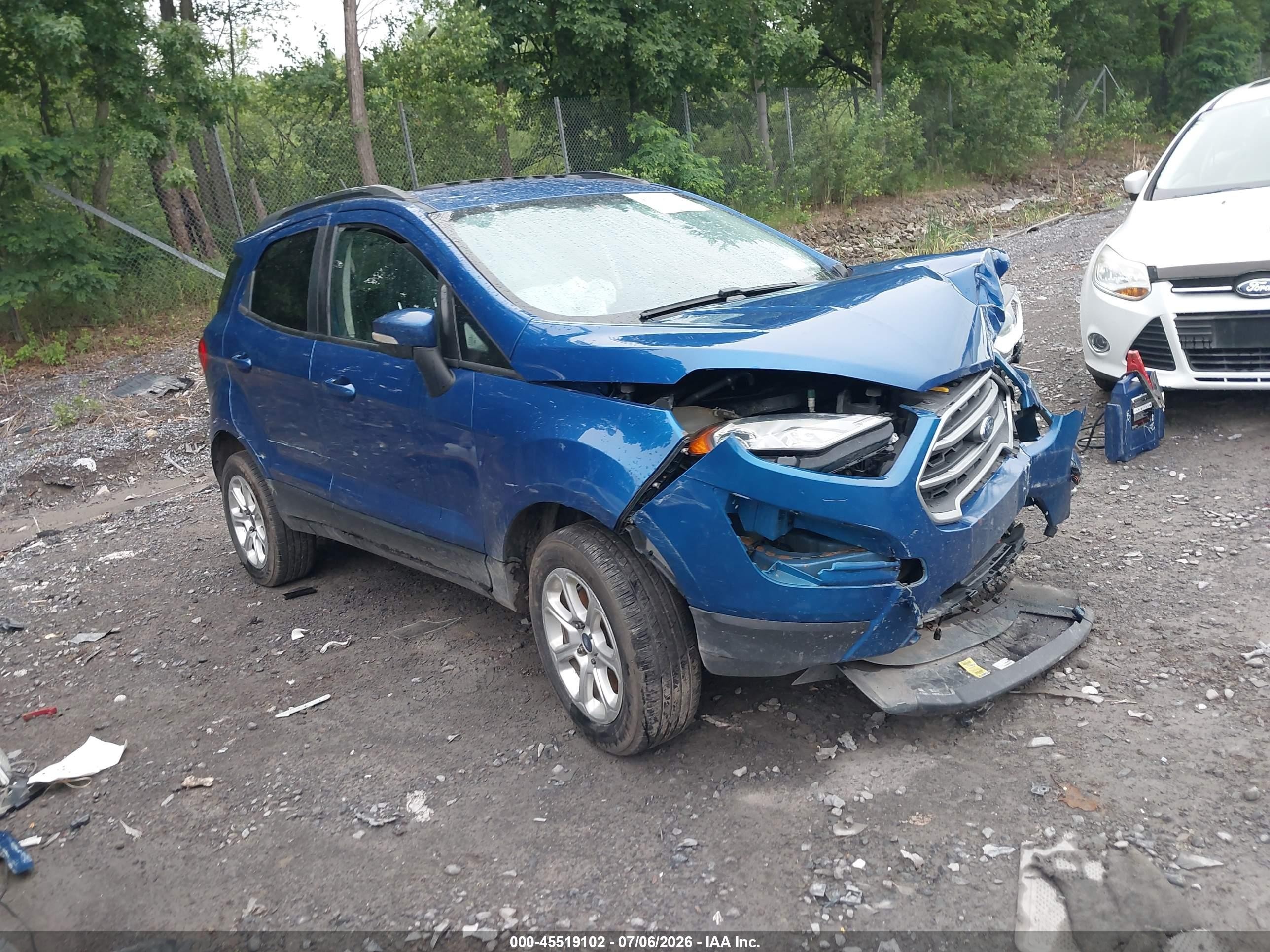 2020 Ford EcoSport SE, VIN MAJ6S3GL7LC354936 — Biohazard / chemical