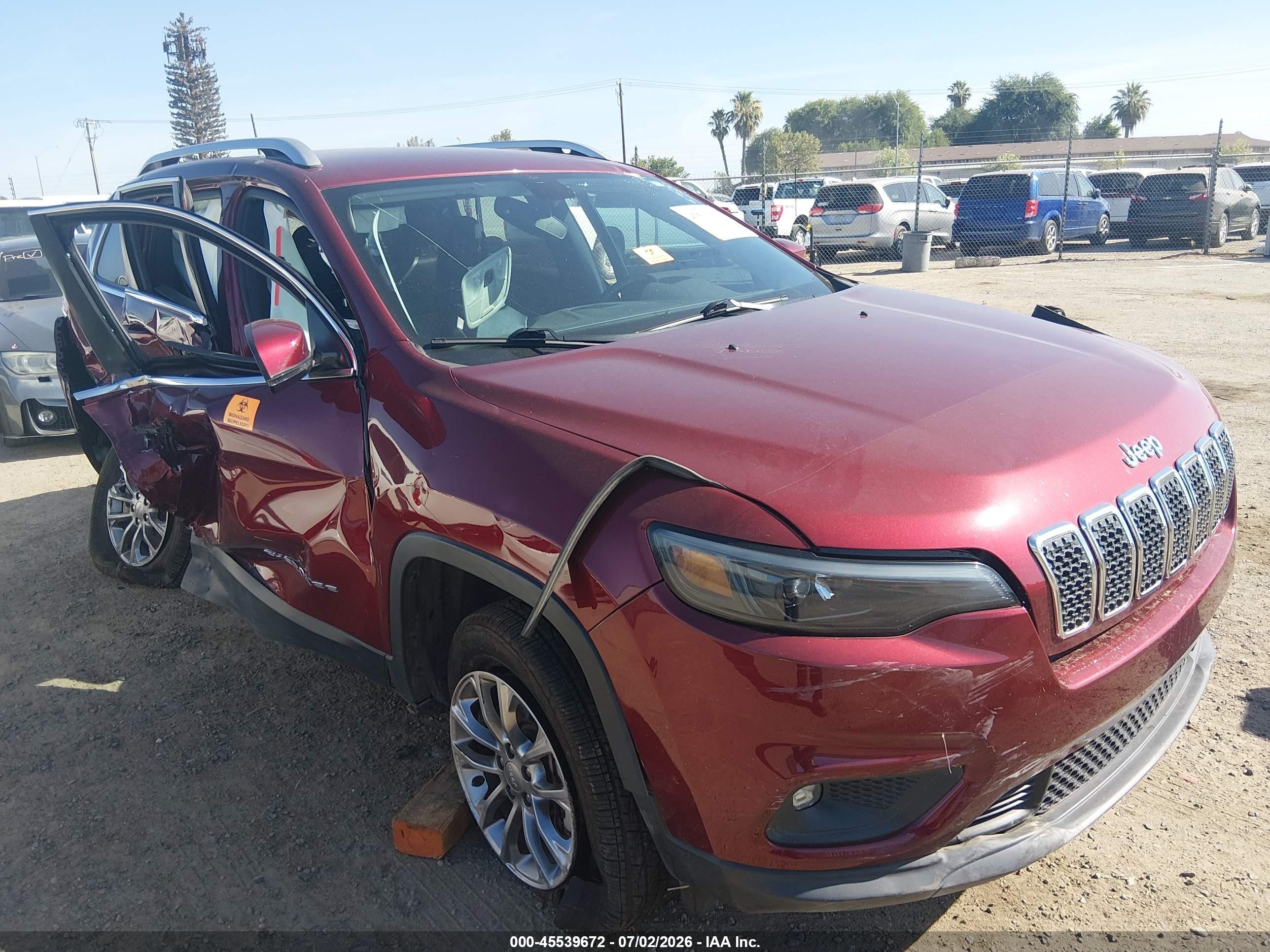 2019 Jeep Cherokee Latitude Plus, VIN 1C4PJMLX9KD126543 — Биологическое загрязнение