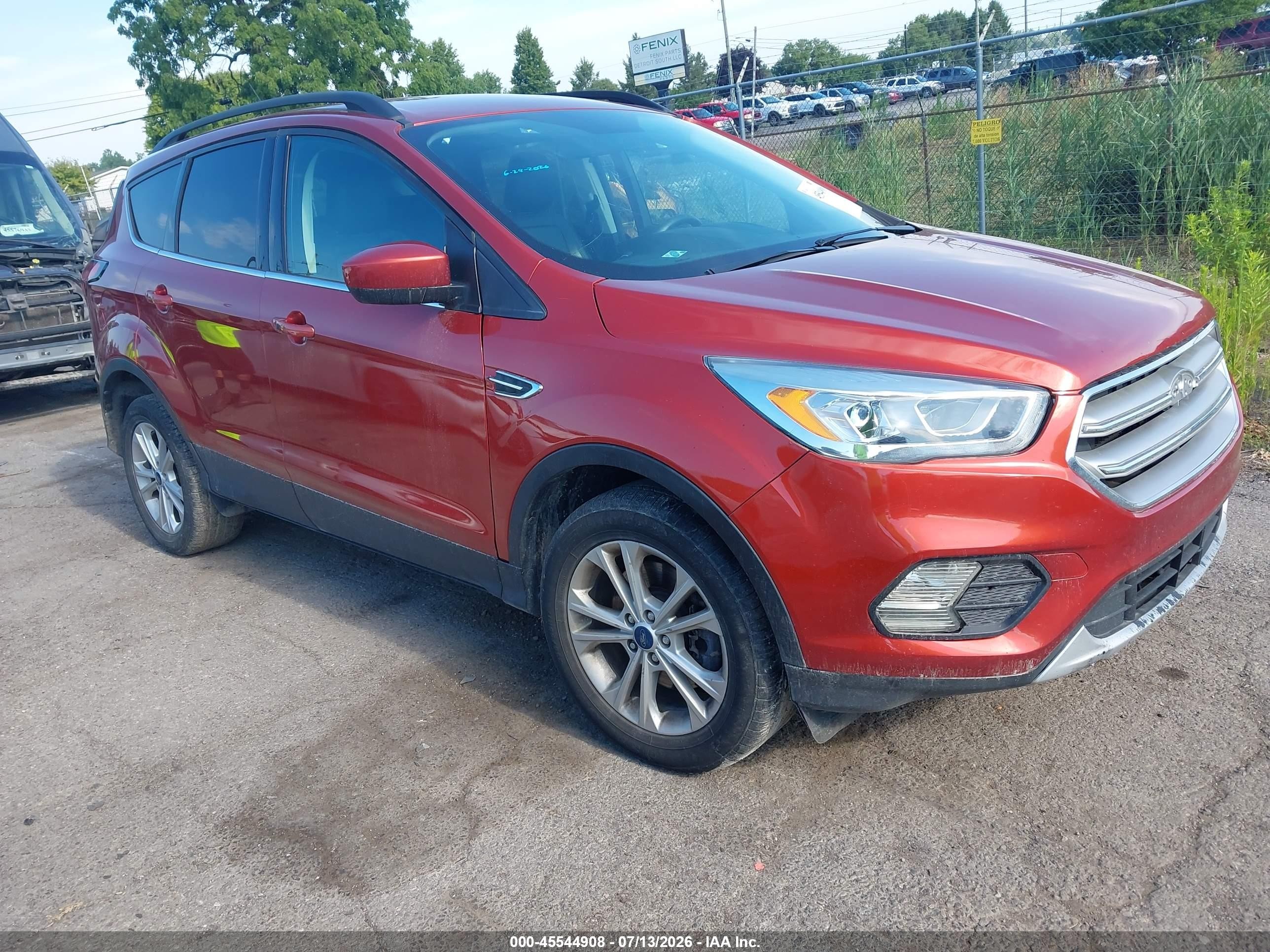 2019 Ford Escape SEL, VIN 1FMCU9HD5KUA40353 — Зад