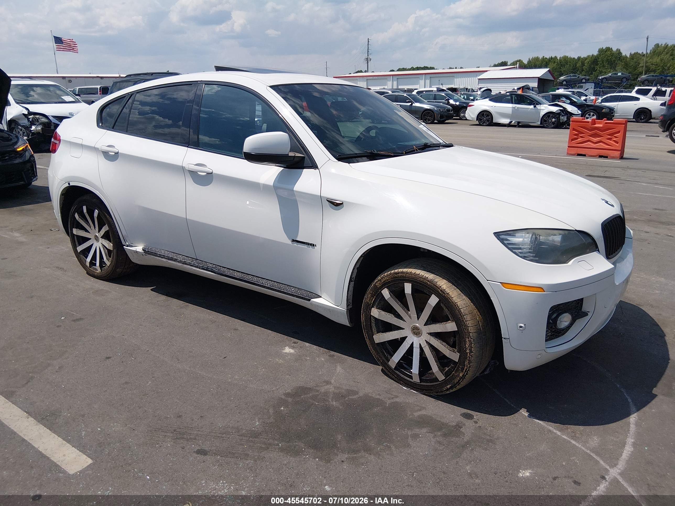 2011 BMW X6 50i, VIN 5UXFG8C57BLZ96022 — Side