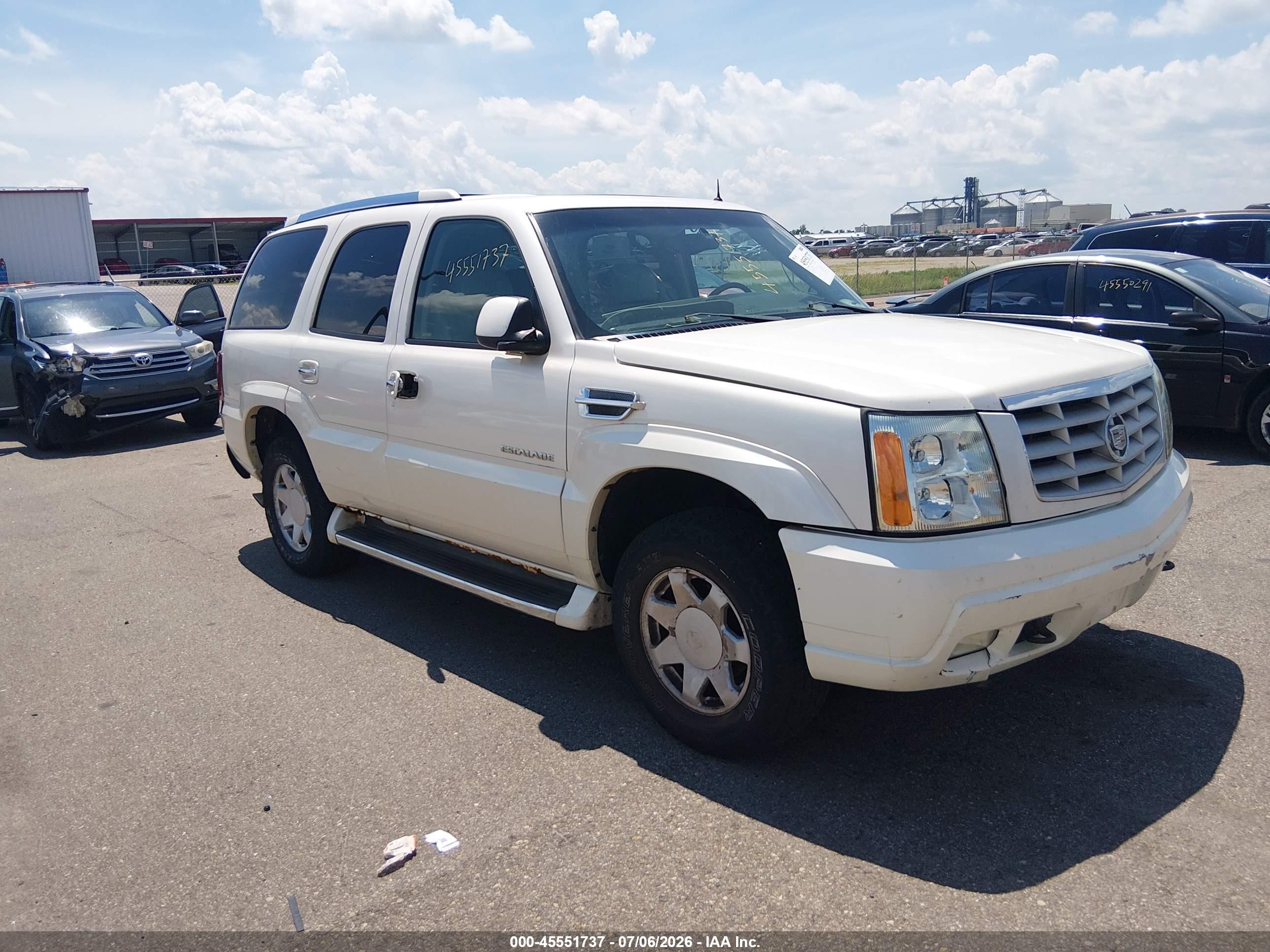 2002 Cadillac Escalade, VIN 1GYEK63N02R160690 — По всему кузову
