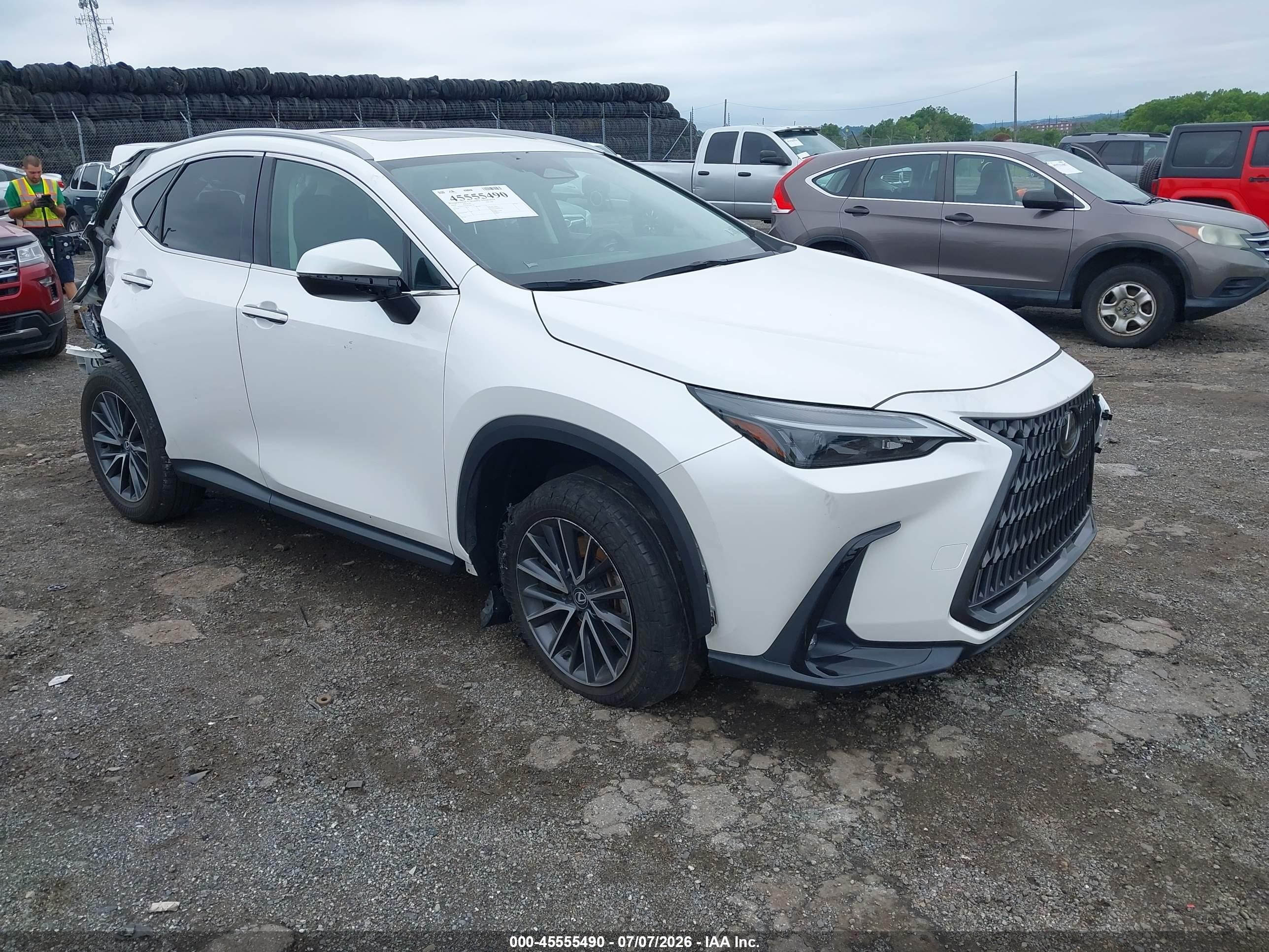 2024 Lexus NX 350, VIN 2T2AGCEZ2RC040538 — Зад