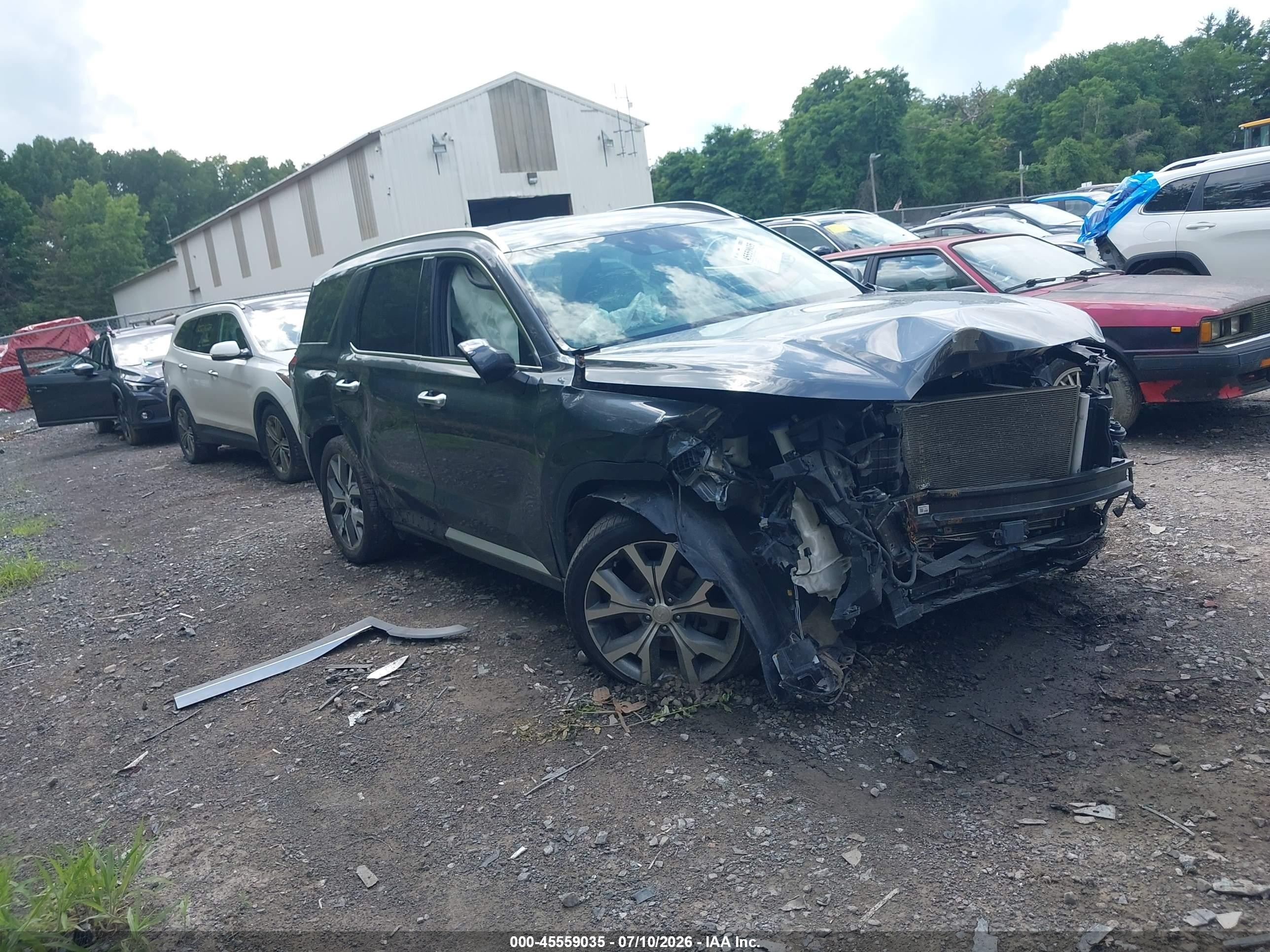 2020 Hyundai Palisade SEL, VIN KM8R4DHE8LU104781 — Biohazard / chemical