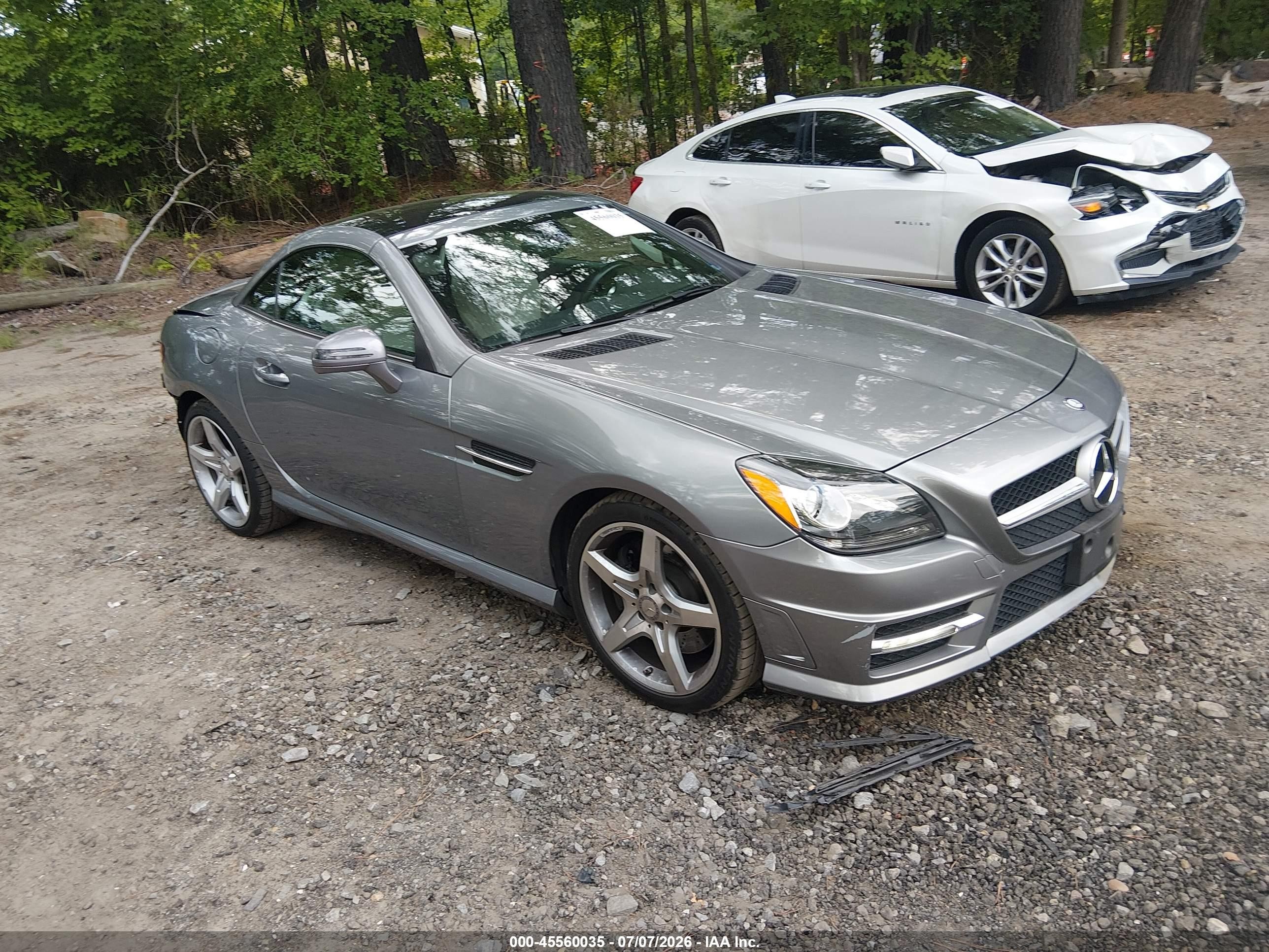 2014 Mercedes-Benz SLK 250, VIN WDDPK4HA6EF074689 — Rear end