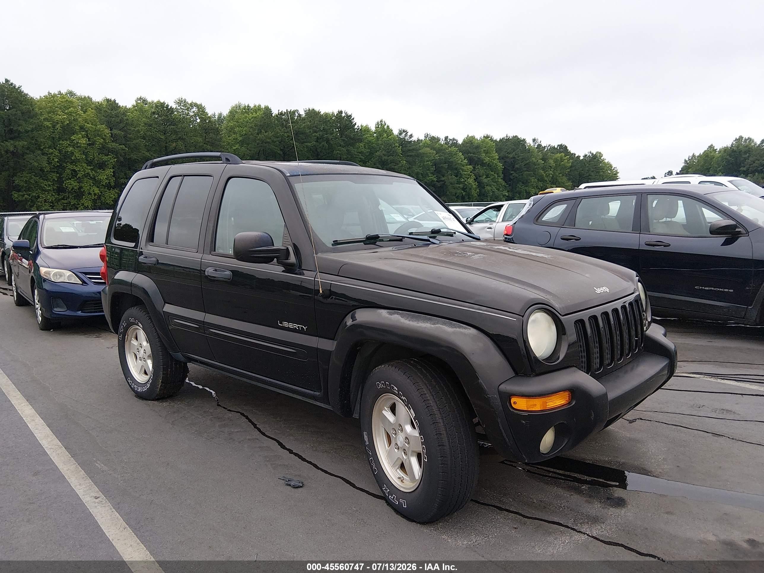 2004 Jeep Liberty Limited, VIN 1J4GK58K24W104885 — Обычный износ
