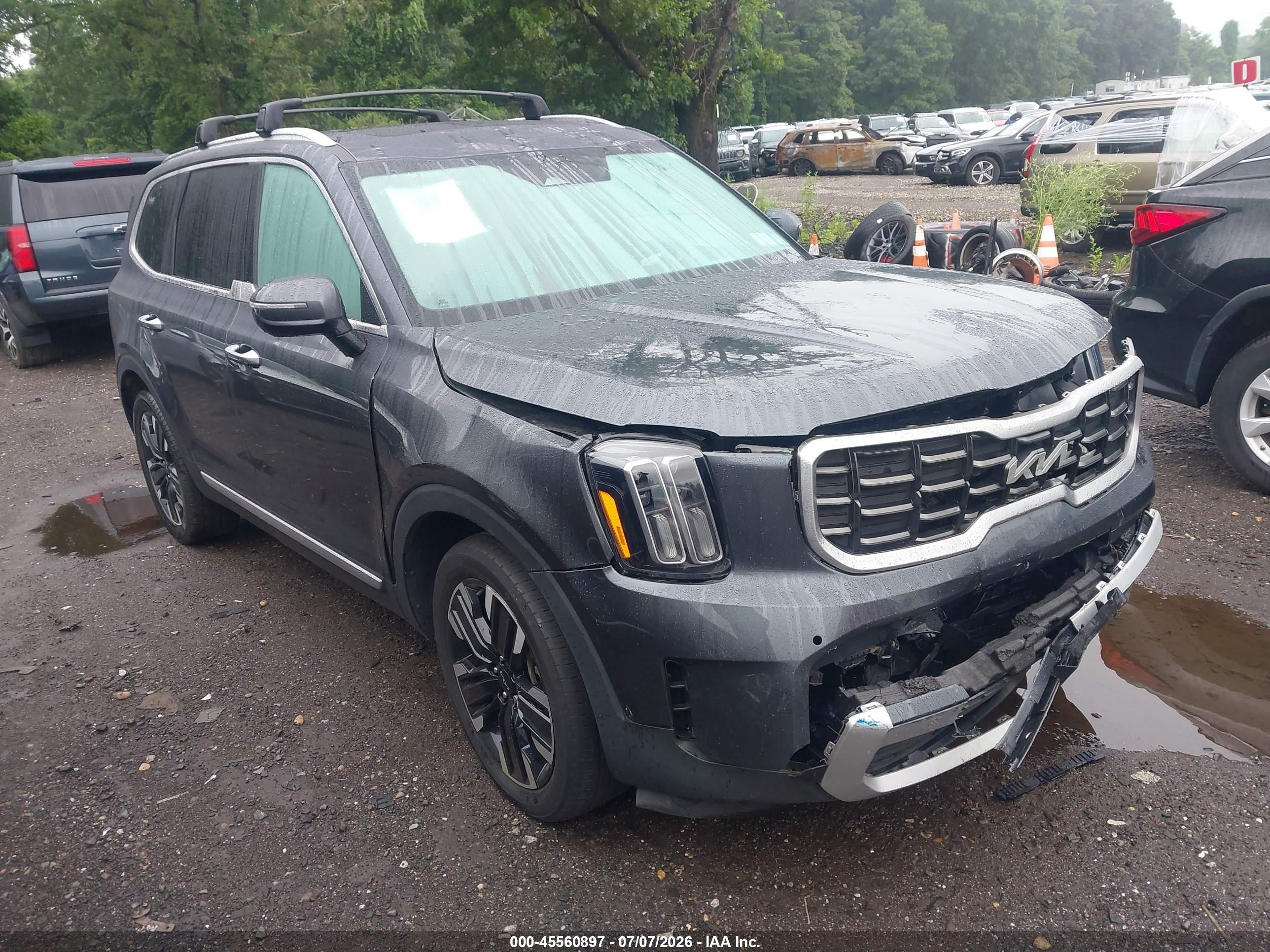 2024 Kia Telluride SX Prestige X-Pro, VIN 5XYP5DGC1RG436399 — Перед