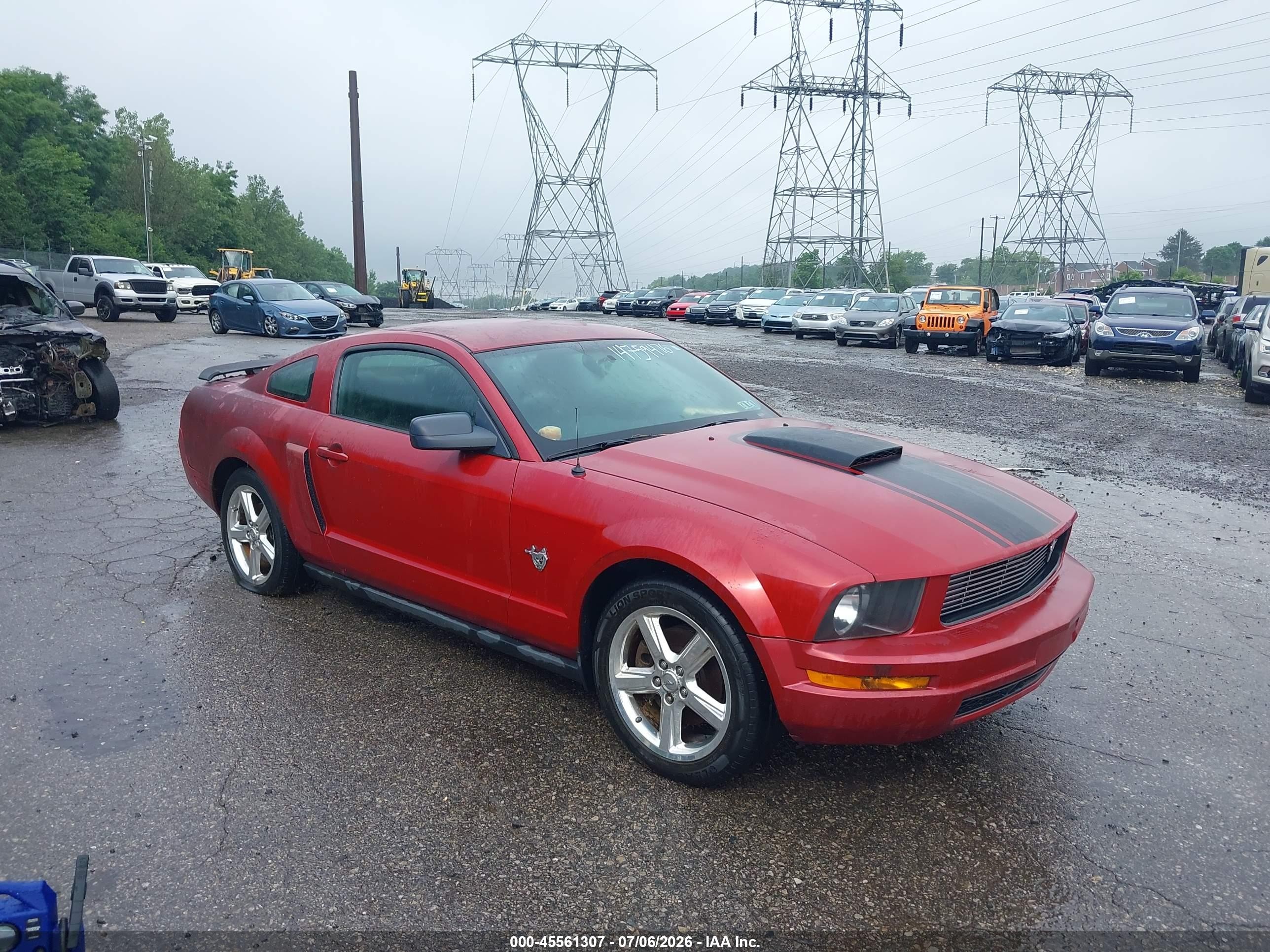 2009 Ford Mustang, VIN 1ZVHT80N195124652 — Normal wear